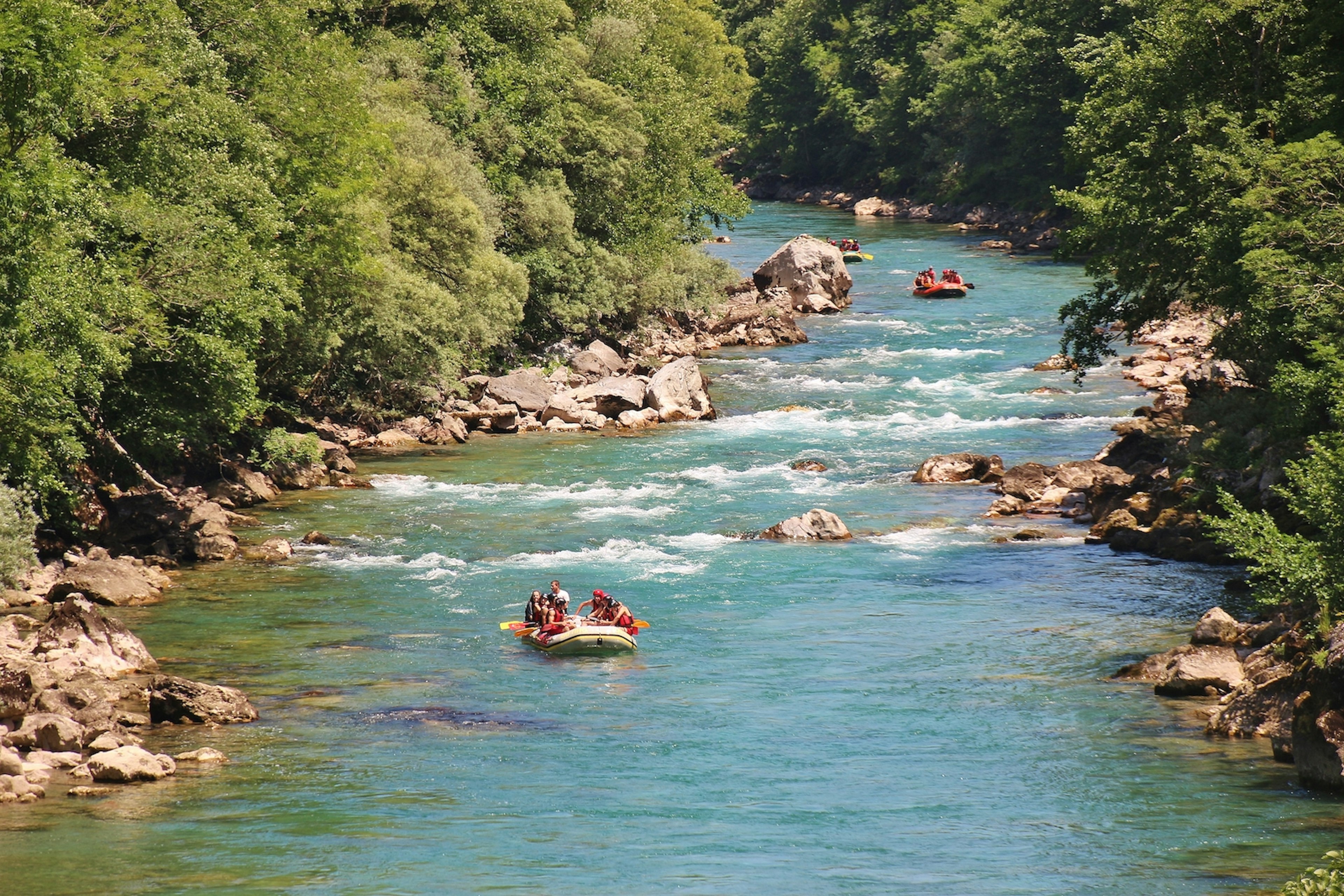 A group rafting the Tara River, Montenegro