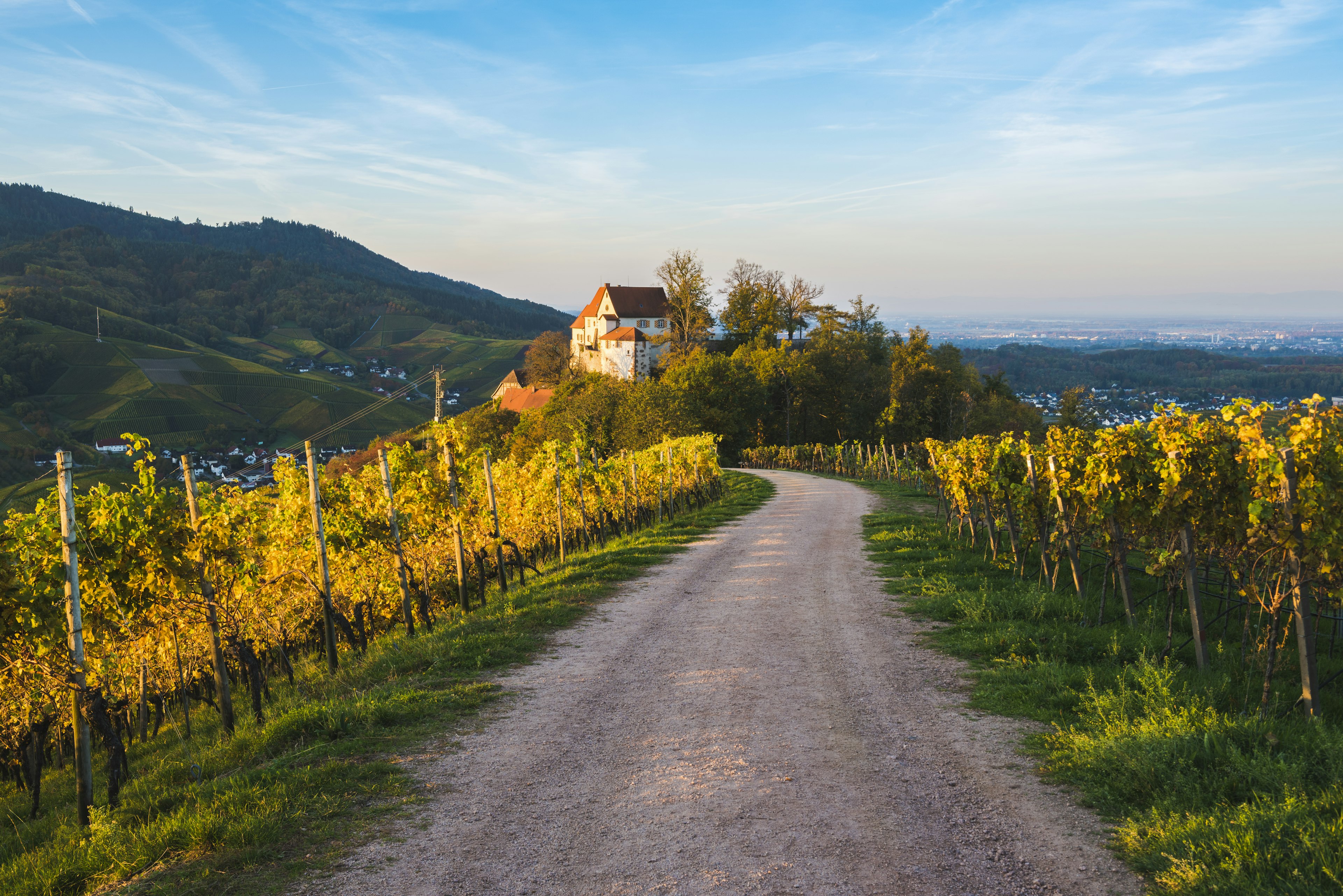 A white castle with a red roof sits on a hill surrounded by trees. A long gravel road extends from the viewer to the castle, flanked by green grass and golden grapevines illuminated by the setting sun. In the far distance, green and blue rolling hills on the left give way to a distant valley dotted with tiny white buildings.