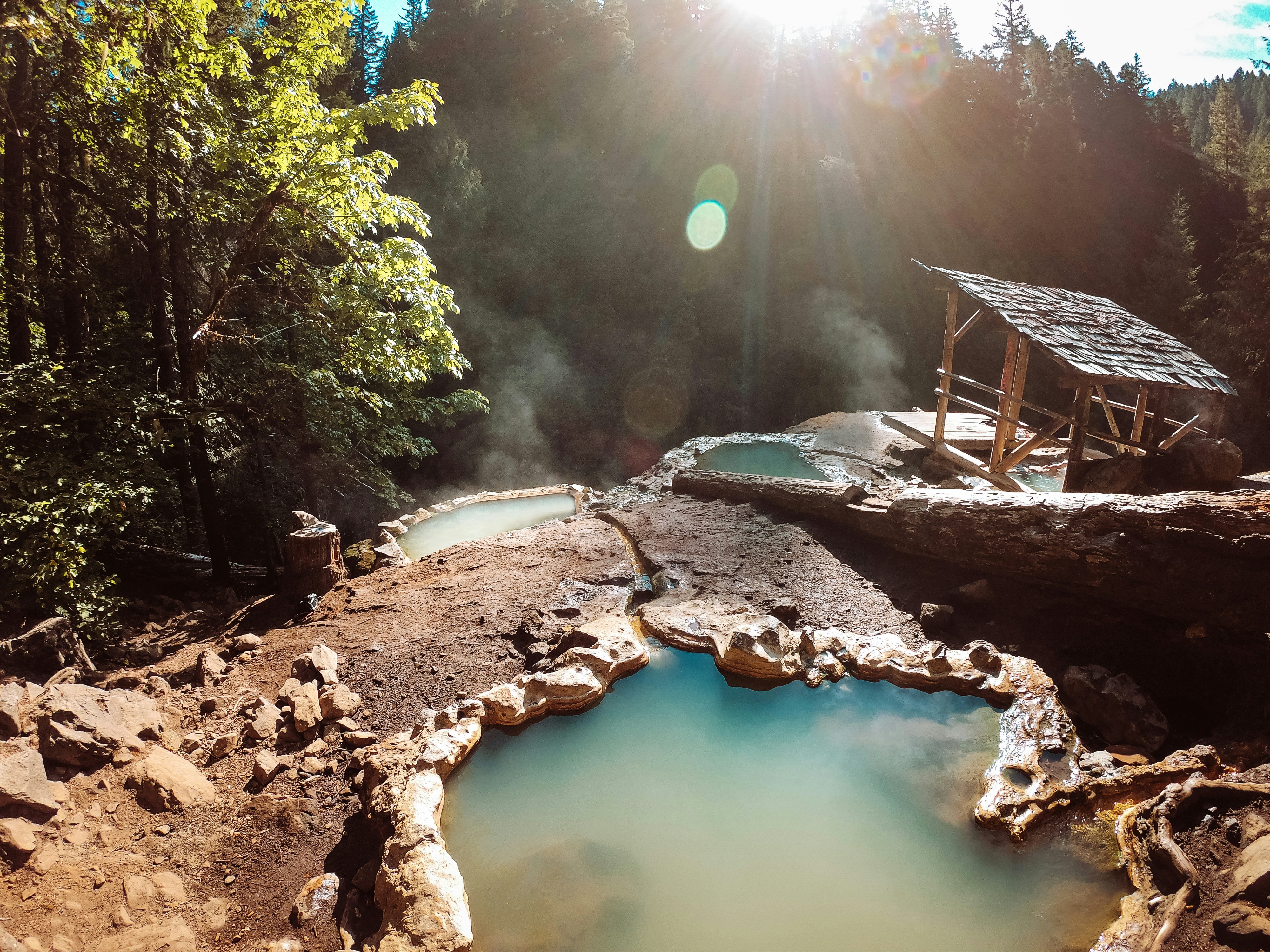 Umpqua Hot Springs in Southern Oregon are surrounded by beautiful forest. frankreporter via Getty Images