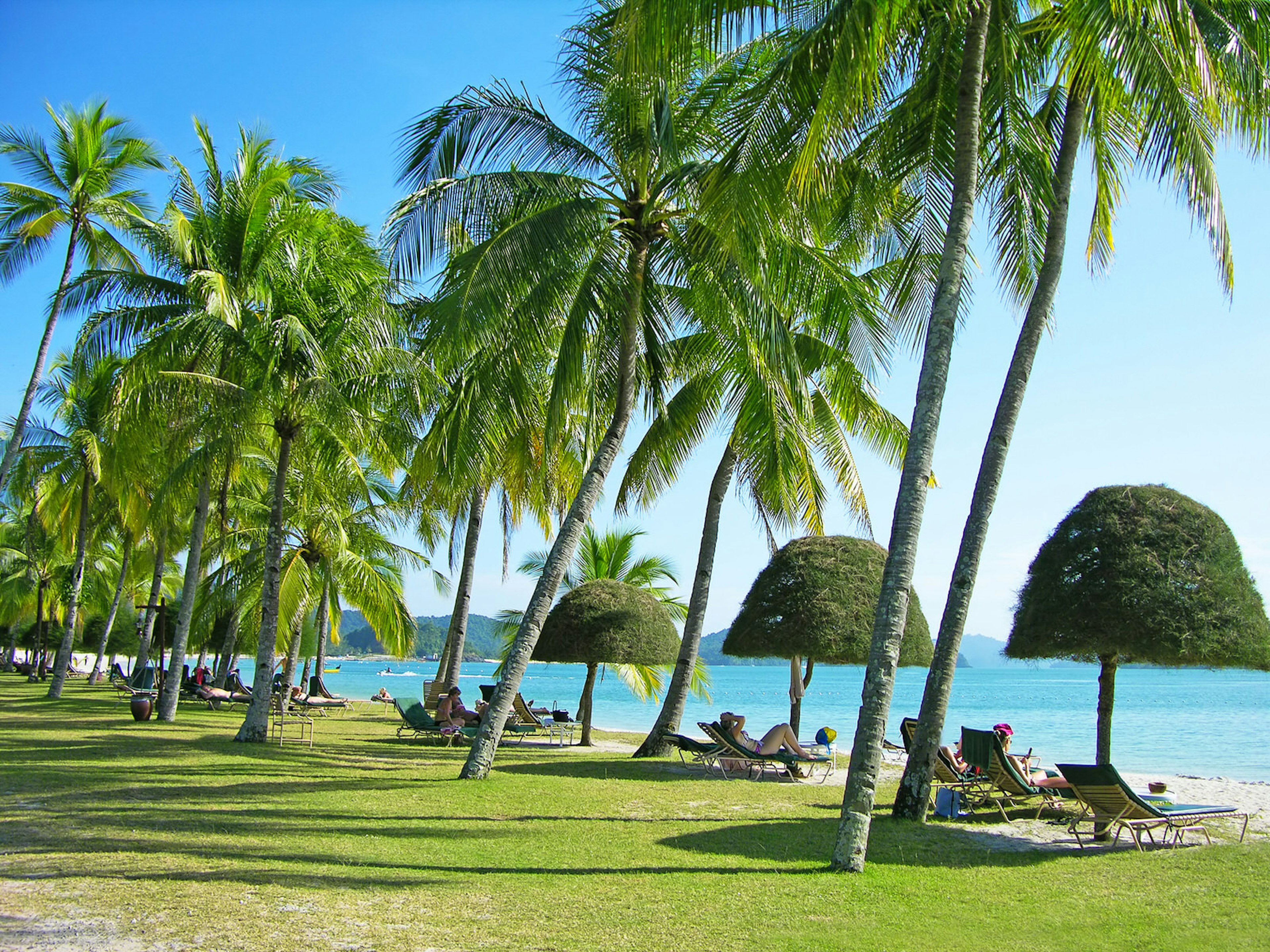 People relax under palm trees near Cenang beach on Langkawi island, Malaysia © karnizz / Getty Images