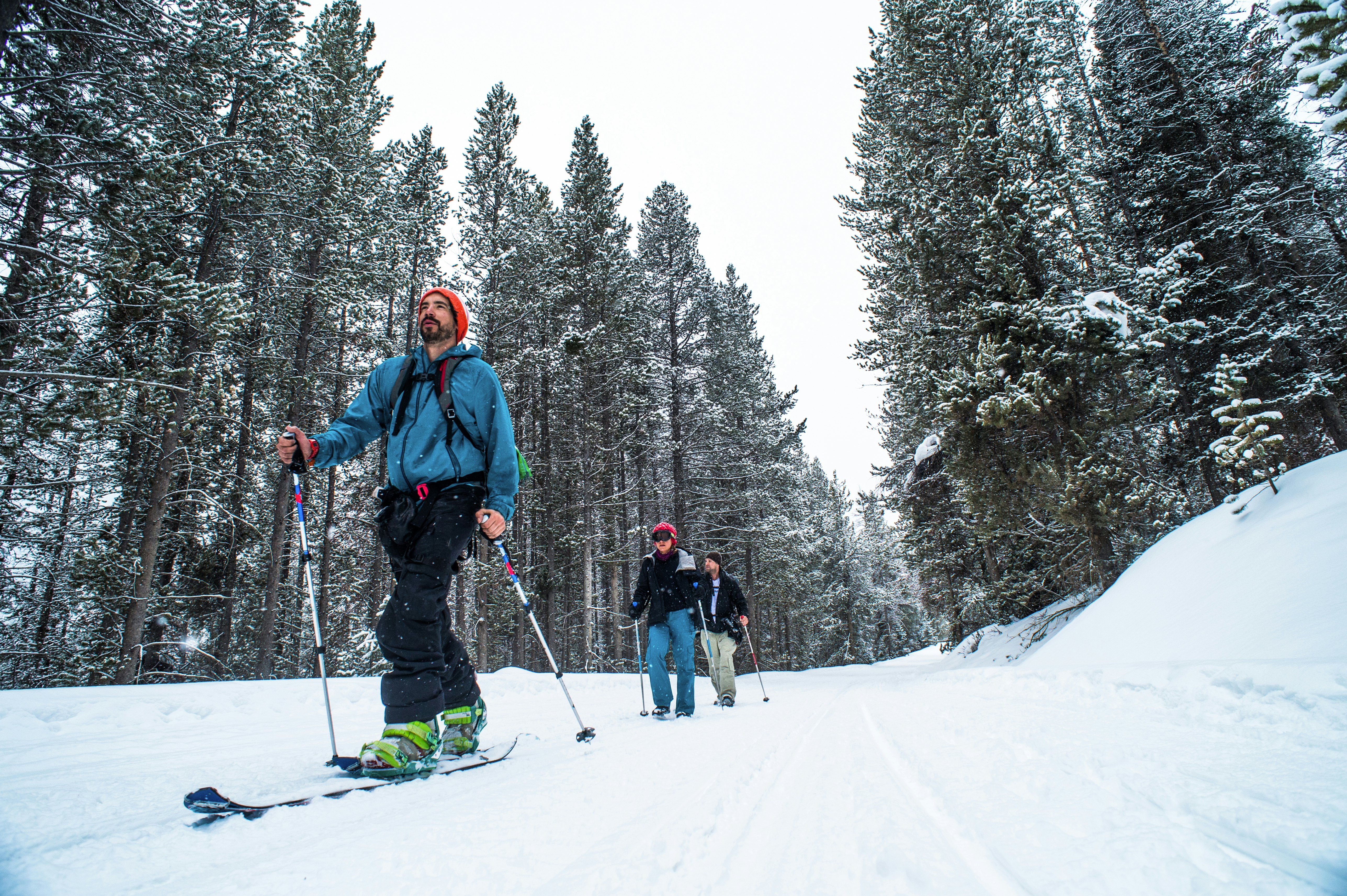 Three people skiing in snowy Jackson Hole.