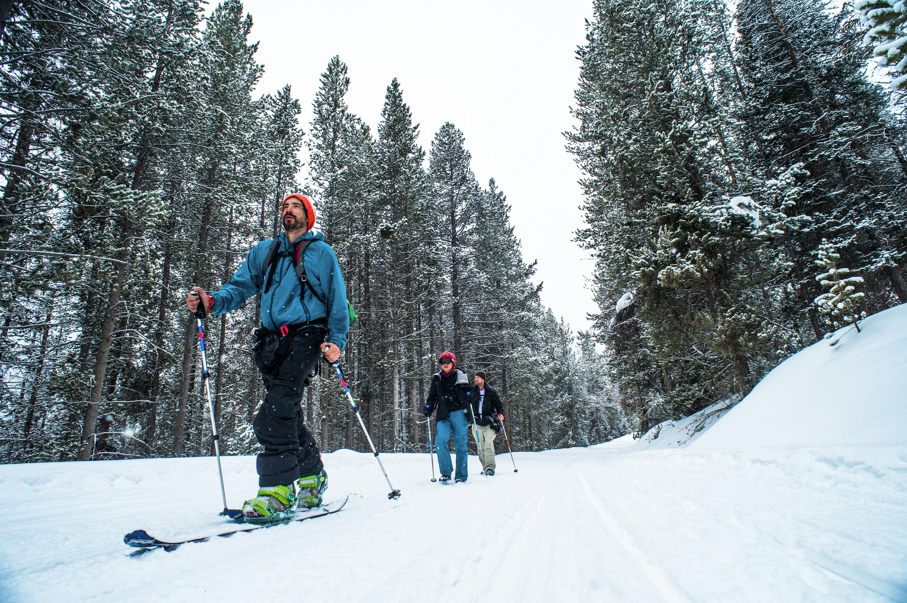 Explore Jackson Hole's wilderness and spot wildlife along the way. Rob Hammer/Getty Images