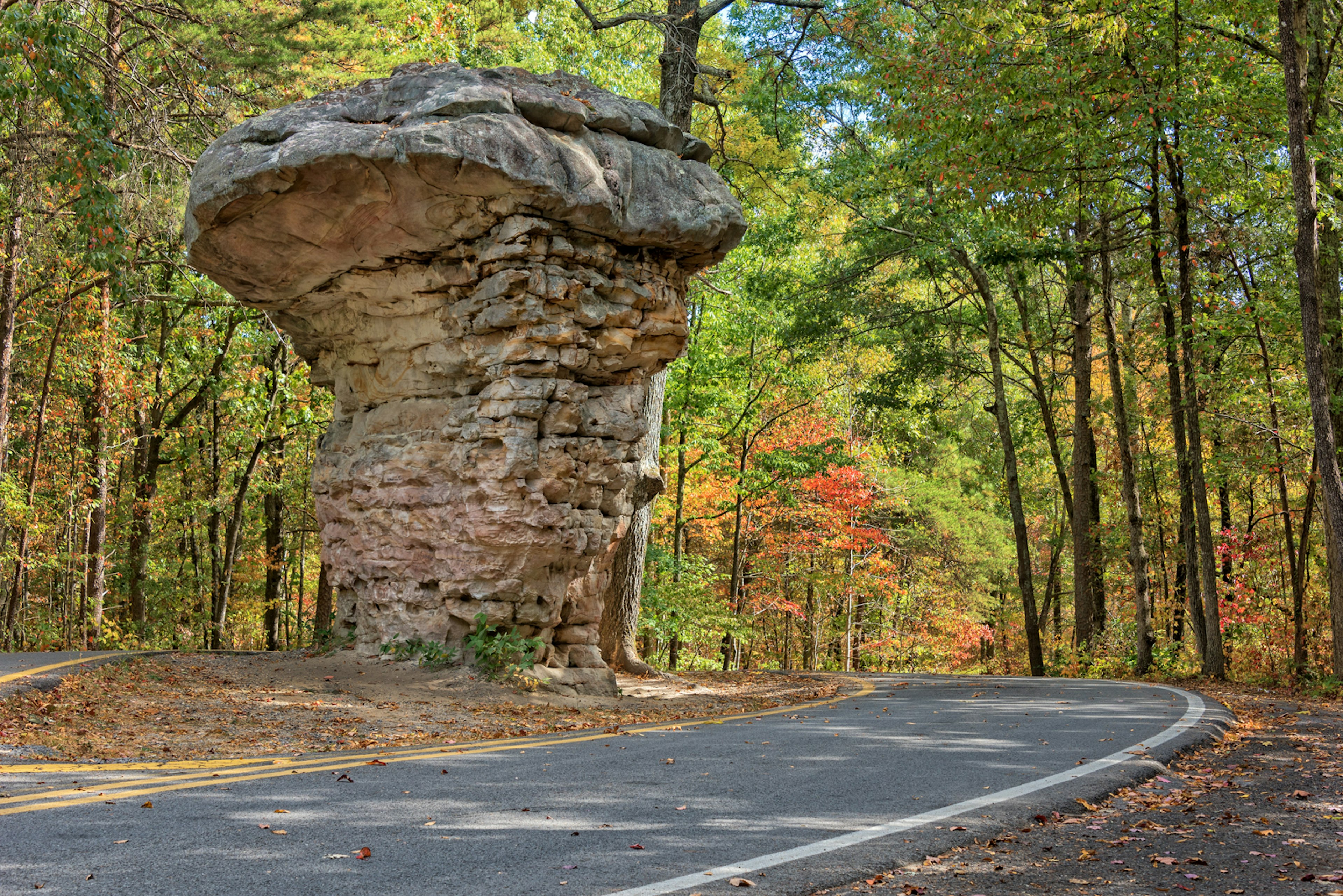 A mushroom-shaped rock near a winding road, with trees surrounding; best summer trips in the Southern US