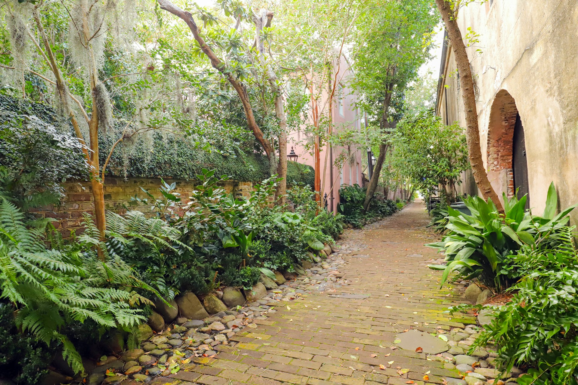 A leafy Charleston alleyway with a brick path and colorful buildings surrounding it.