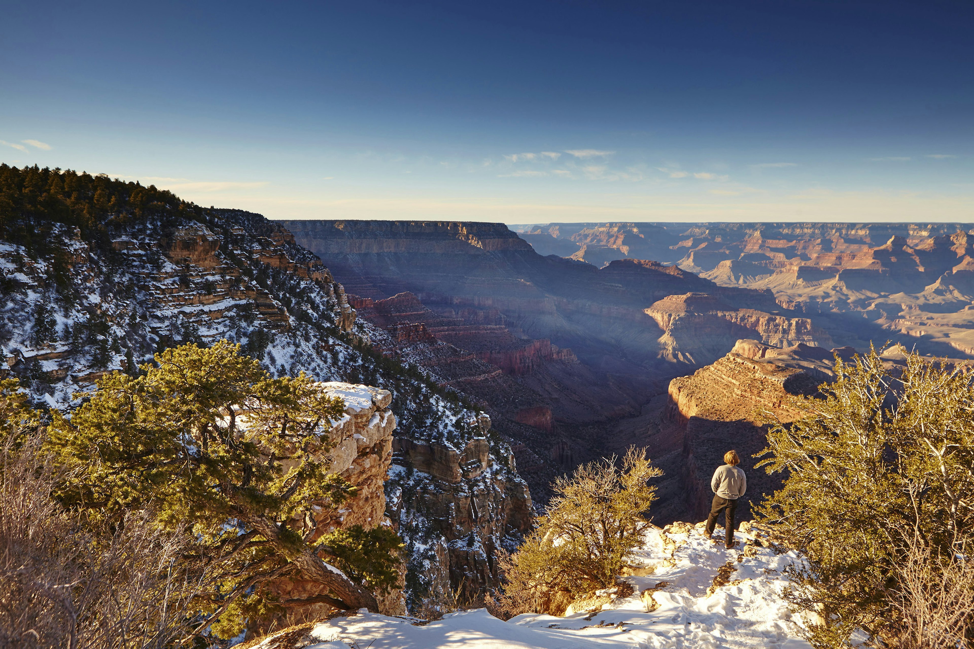 Finger-like flat-topped mesas reach out into the Grand Canyon