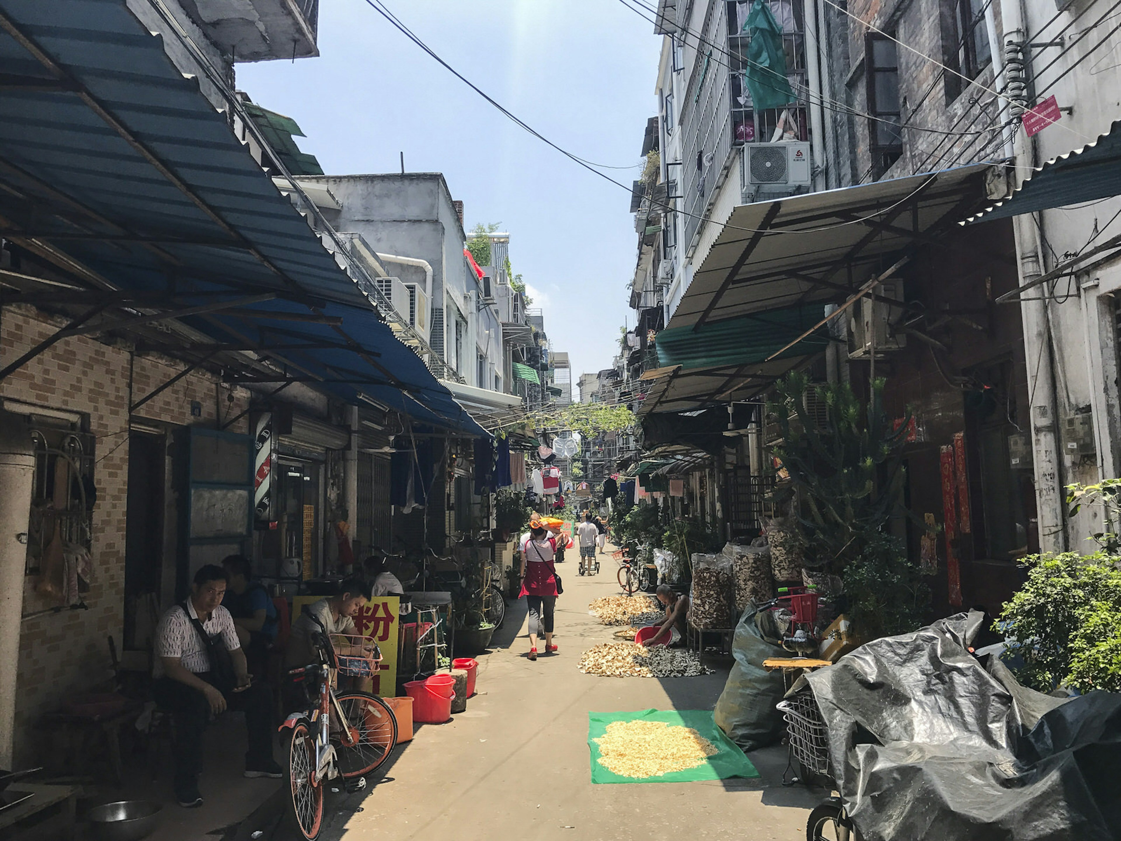 An alleyway in Liwan, the traditional heart of Guangzhou © Cathy Adams / ϰϲʿ¼