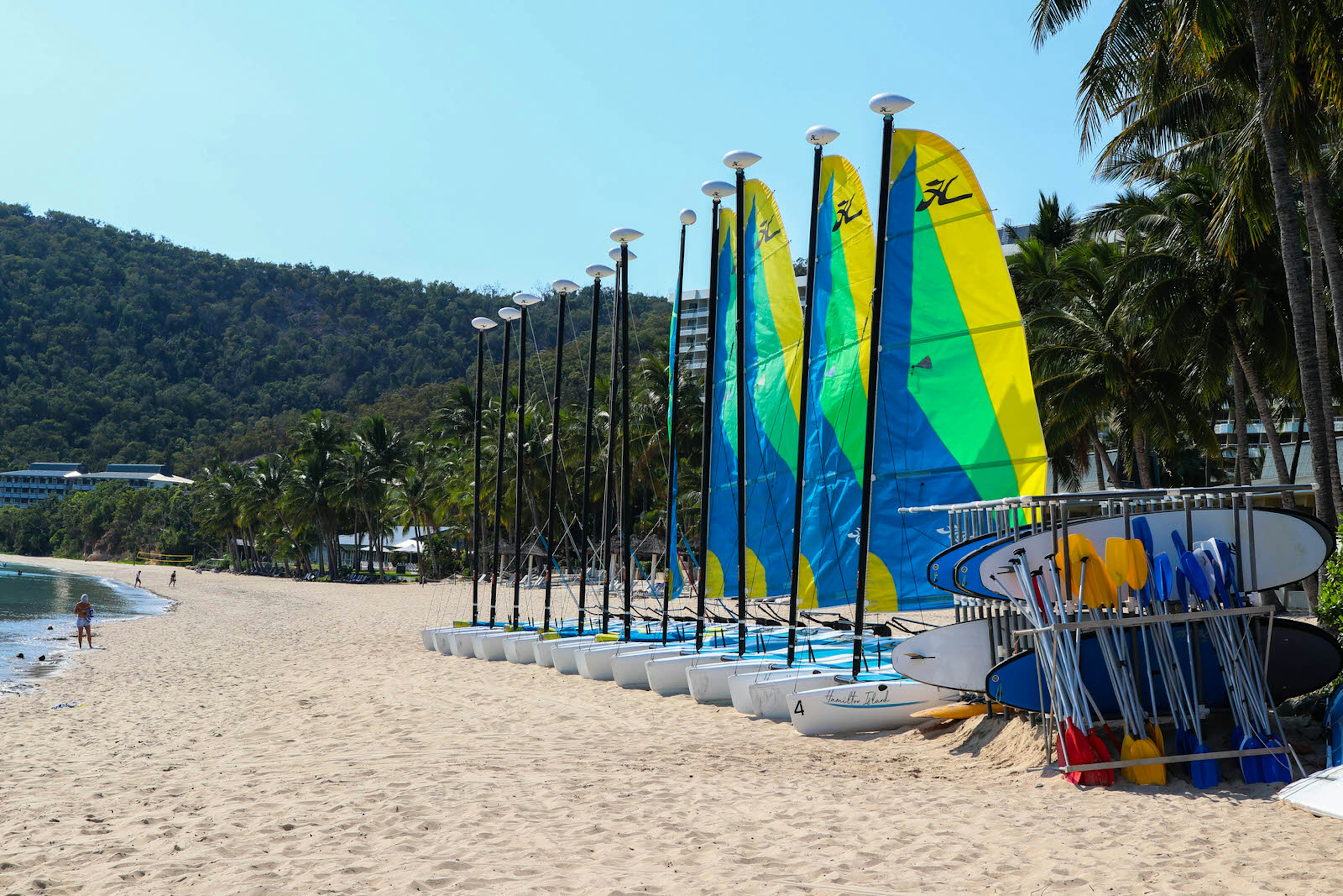 Several small boats with colorful sails are lined up on a white sand beach next to a rack of stand-up paddle boards on a sunny day