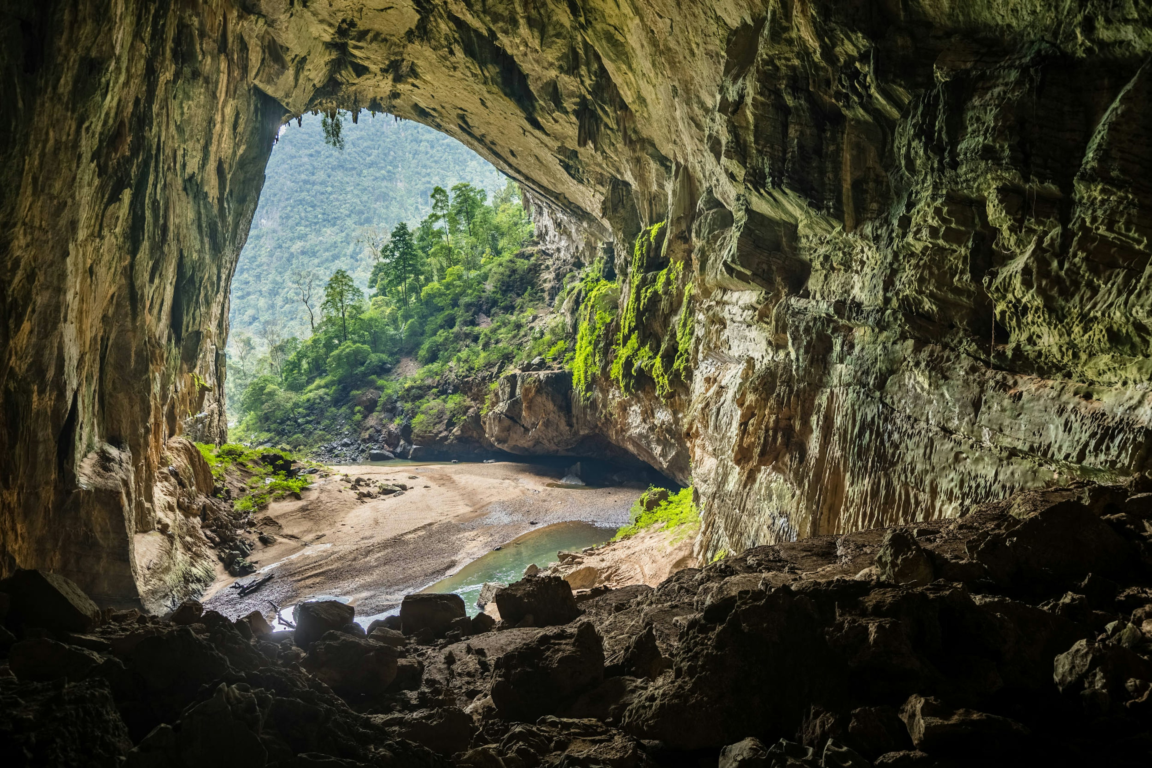 An opening to the Hang En cave system looks out over woodland