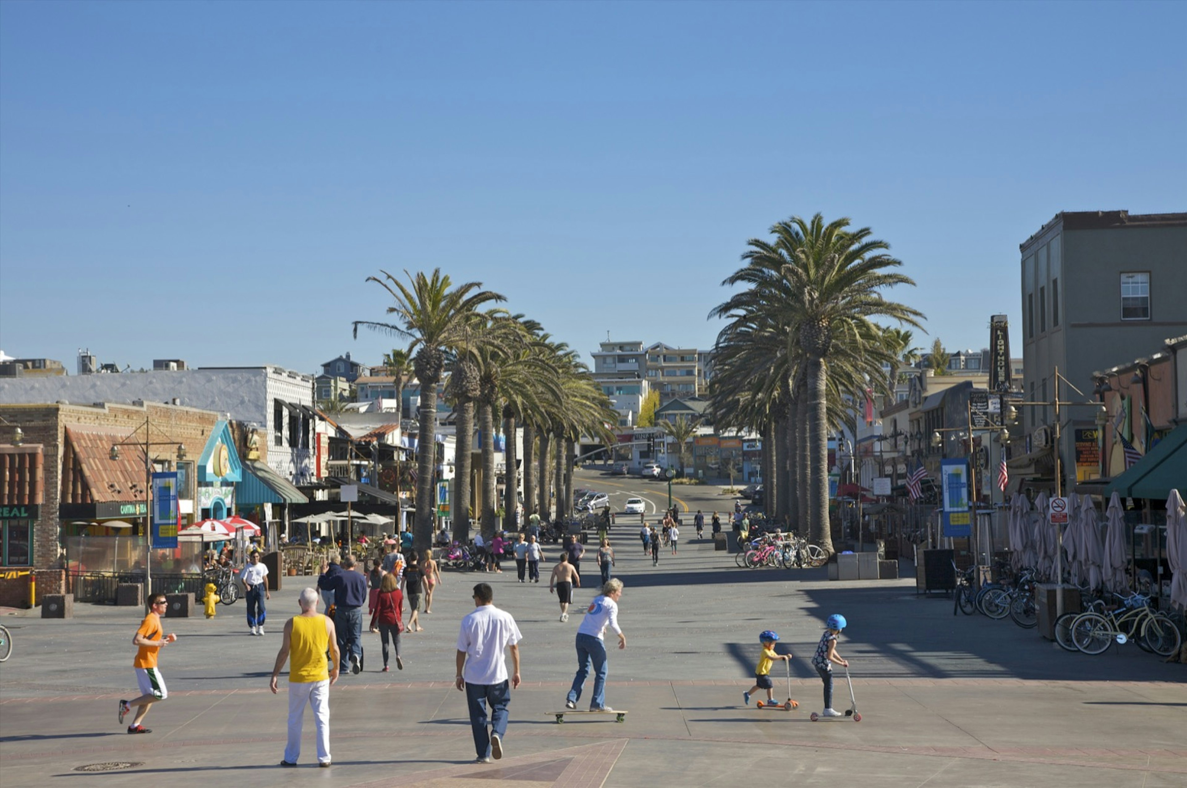 people bike, scooter and walk down a palm tree lined street