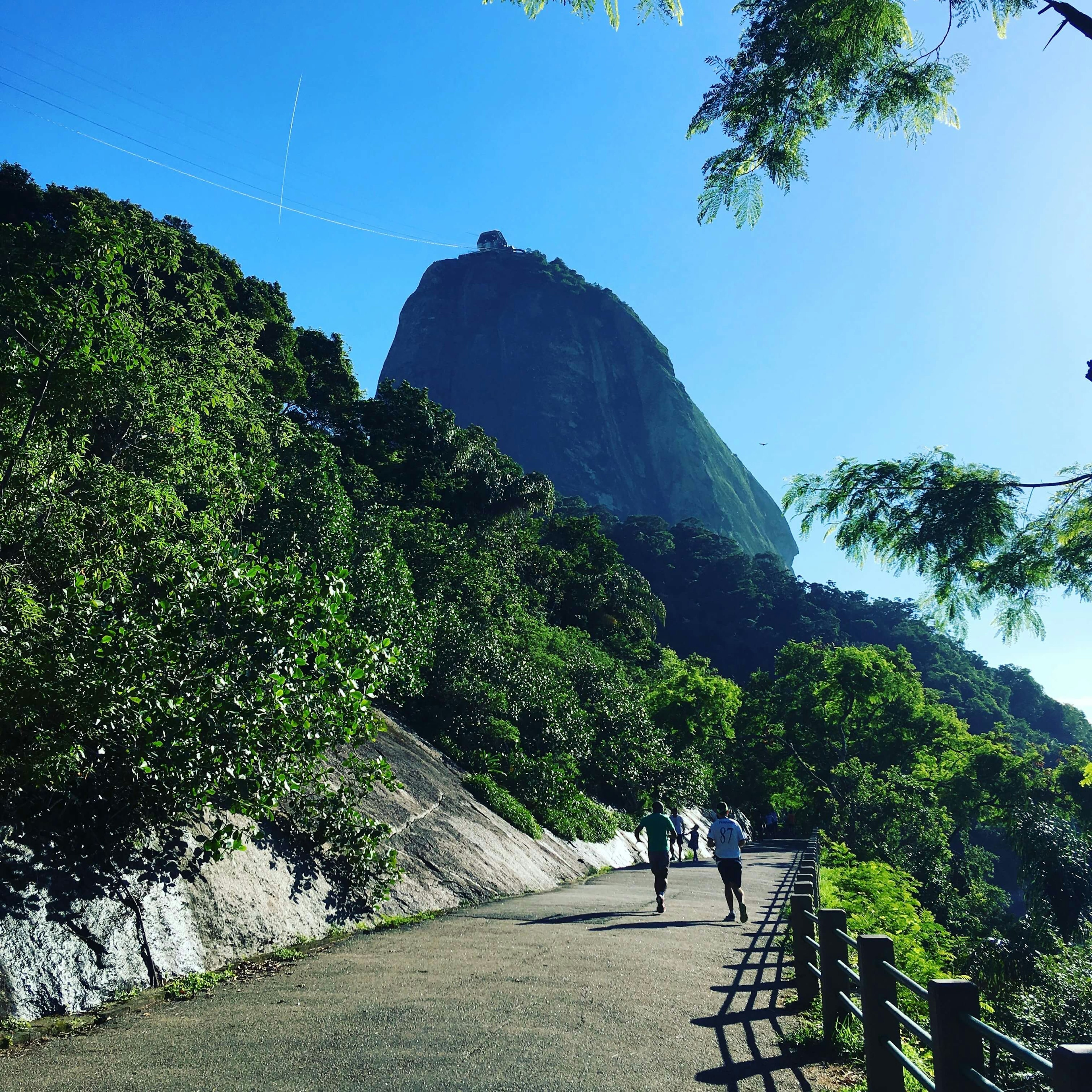 A path with two joggers and forest on either side. The mountain is in the background.