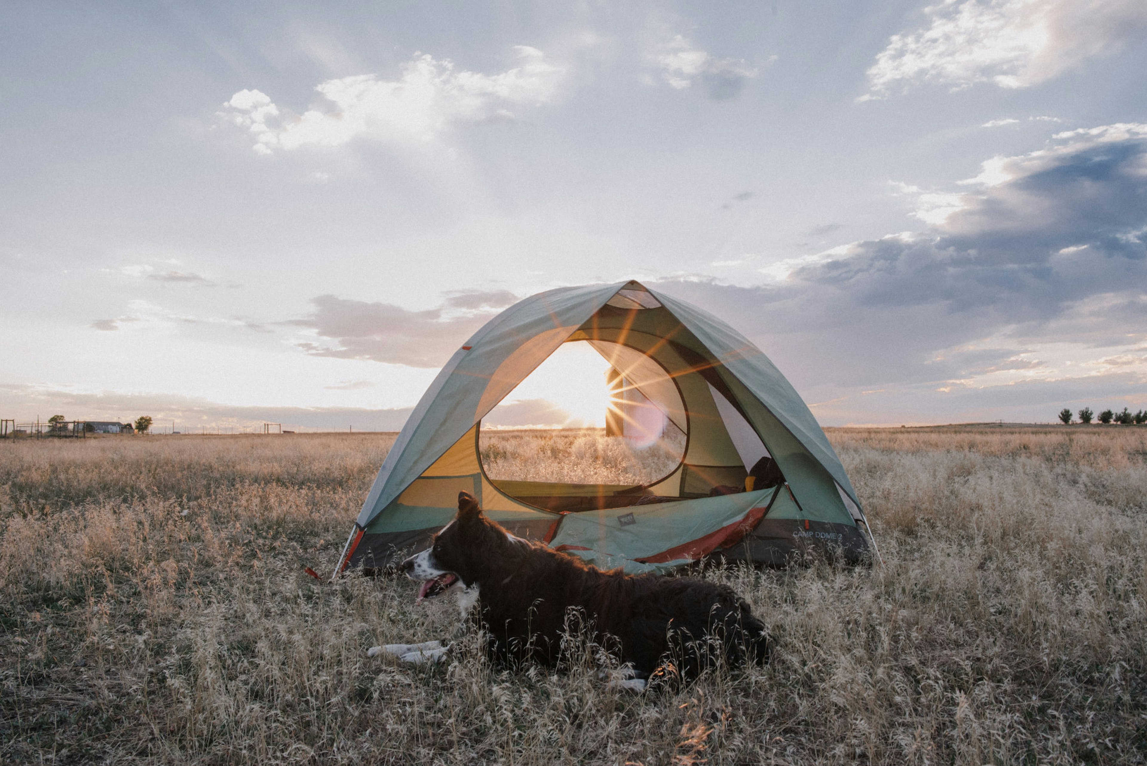 A dog sits in front of a tent at sunrise.