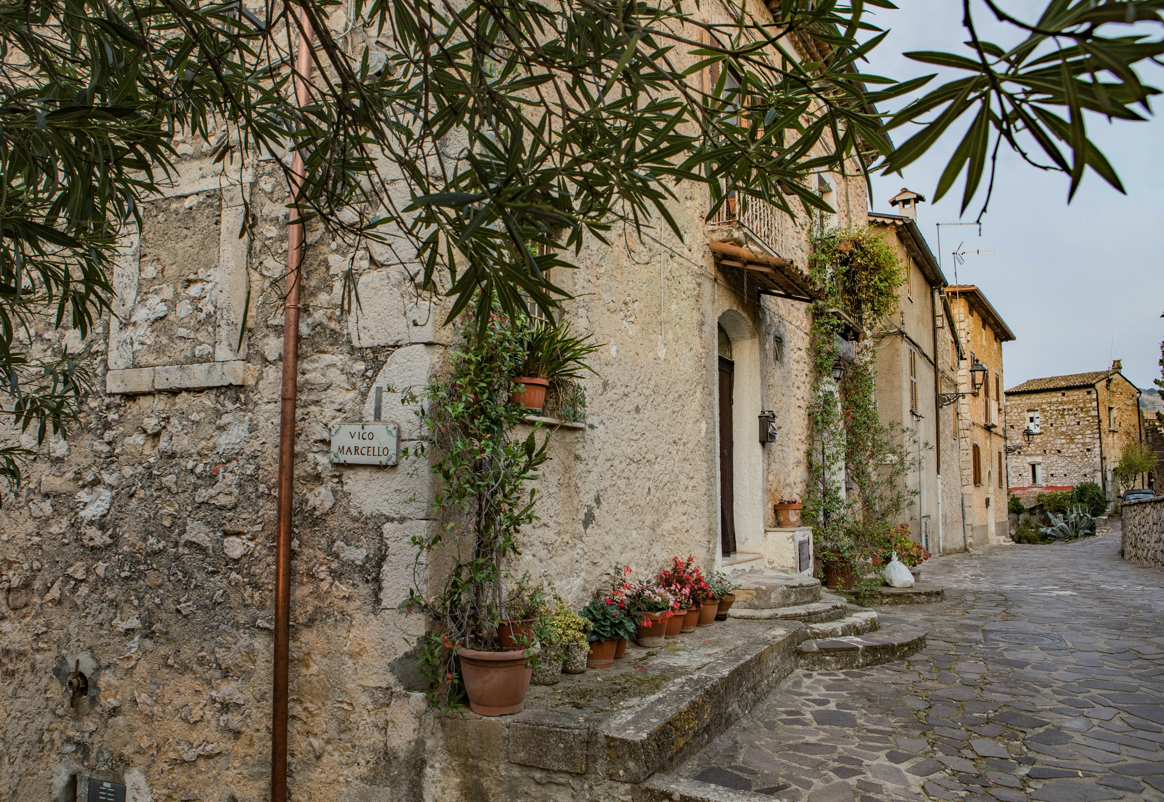 The corner of the winding, cobbled, medieval streets of Pico is marked with a sign reading Vico Marcello. Vines and potted plants line the exterior of the stone and clay houses, while in the immediate foreground the branches of an olive tree reach out from the viewer's vantage point.