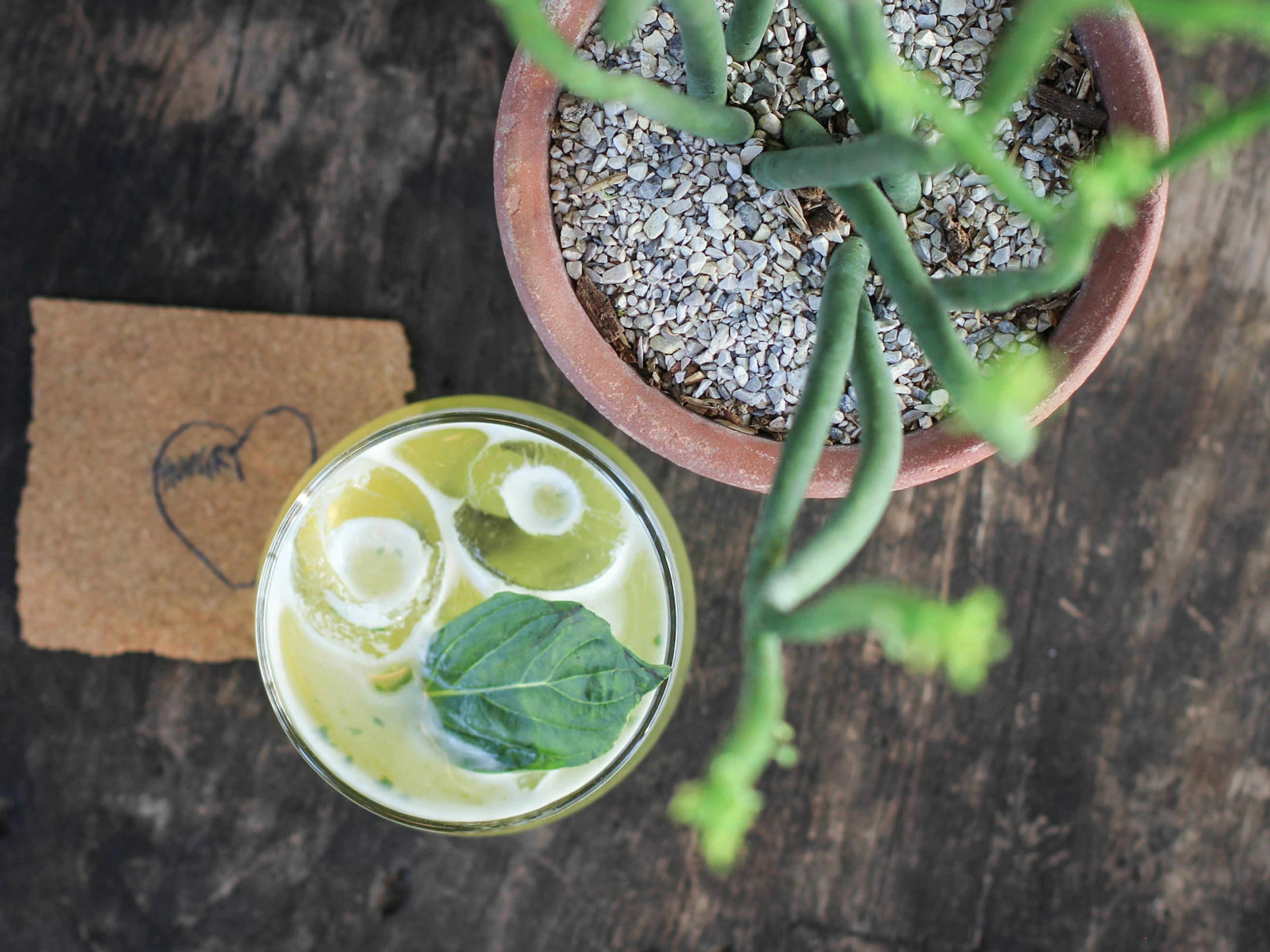 A cocktail next to a potted plant at rooftop bar of Hotel Yayee in Chiang Mai