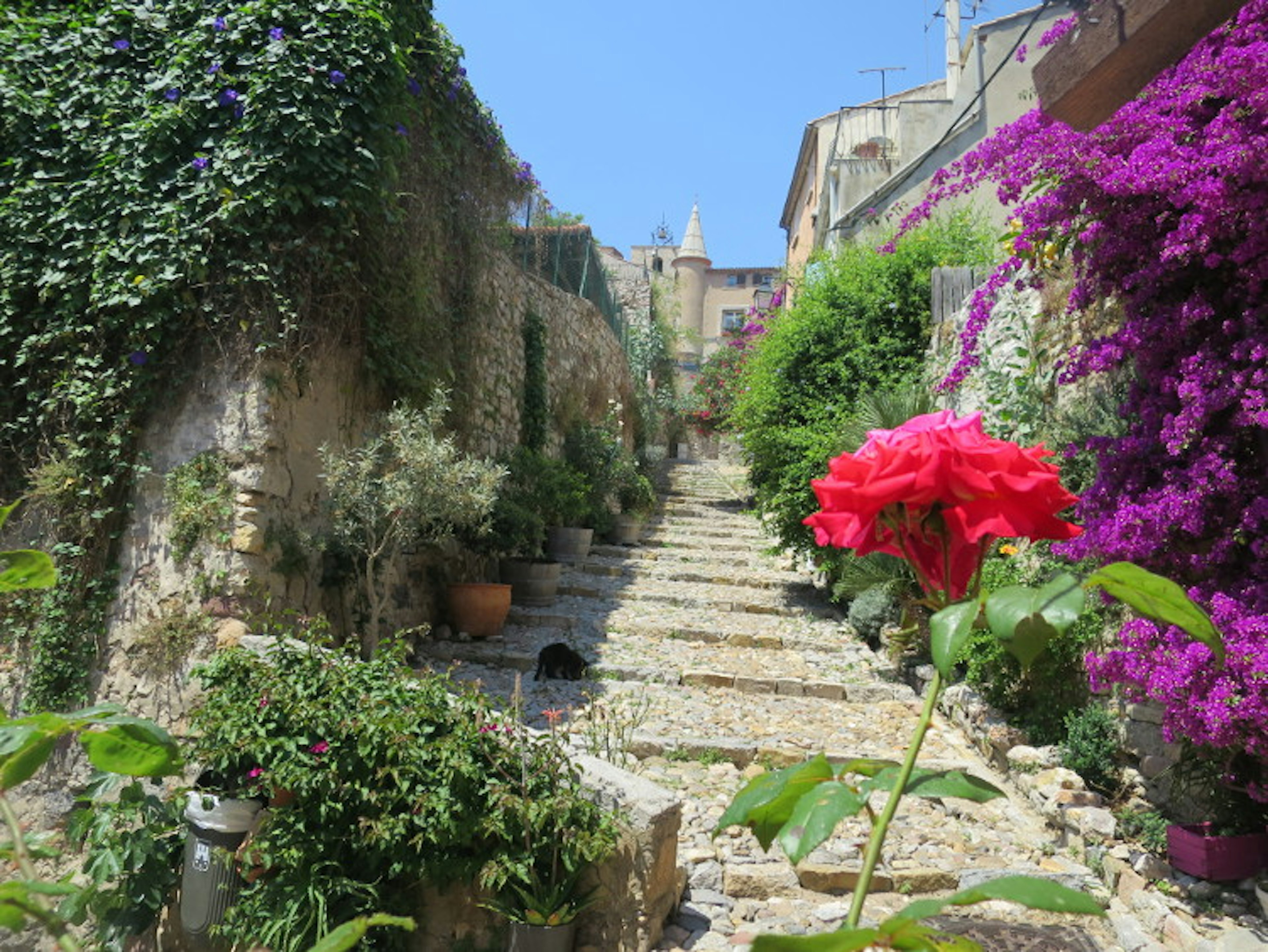 The charming Rue du Repos, Hyères’ Old Town. Image by Karyn Noble/Lonely Planet