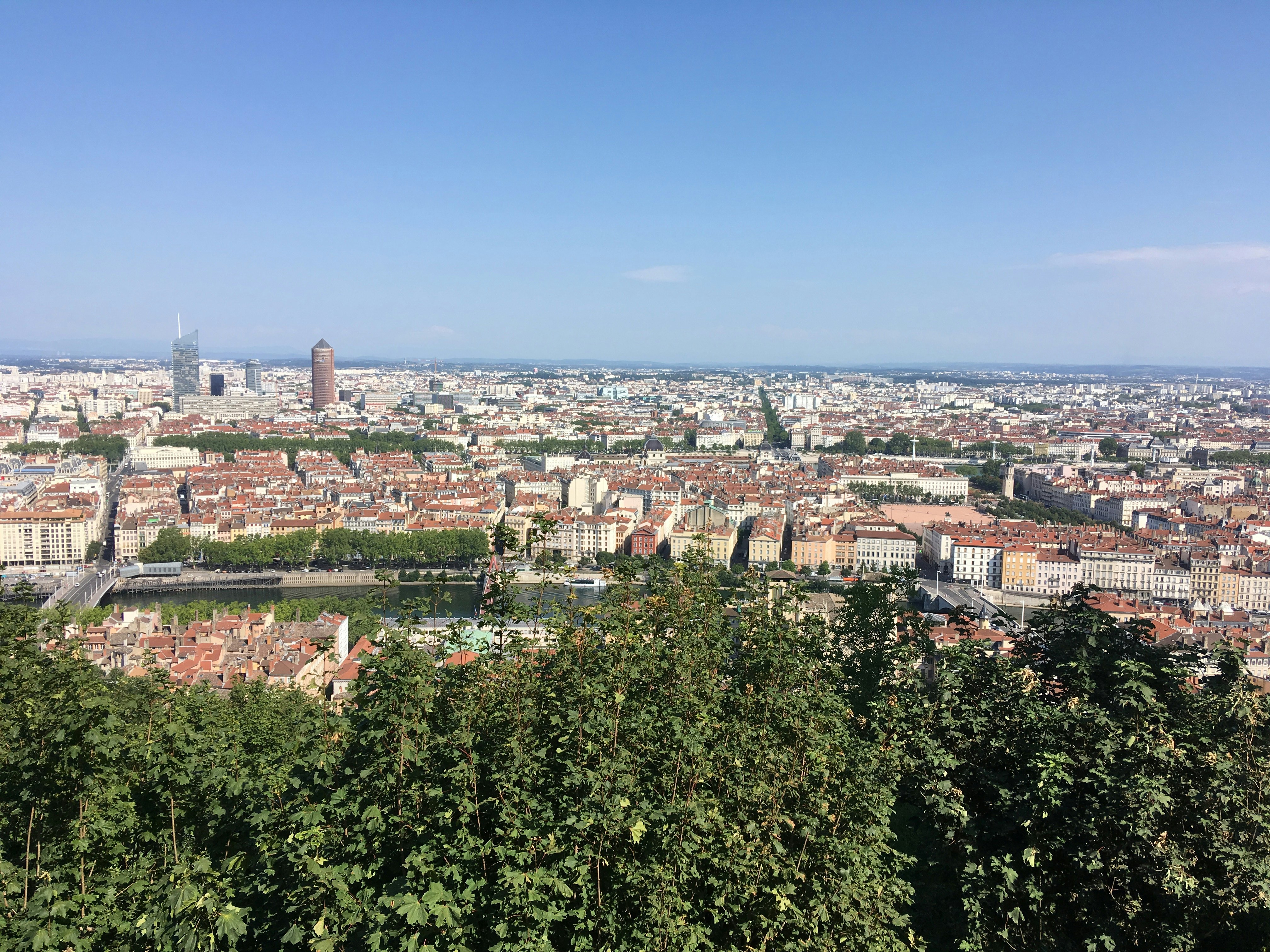 Trees in the foreground give way to a sprawling city view, with several taller buildings and the river as focal points