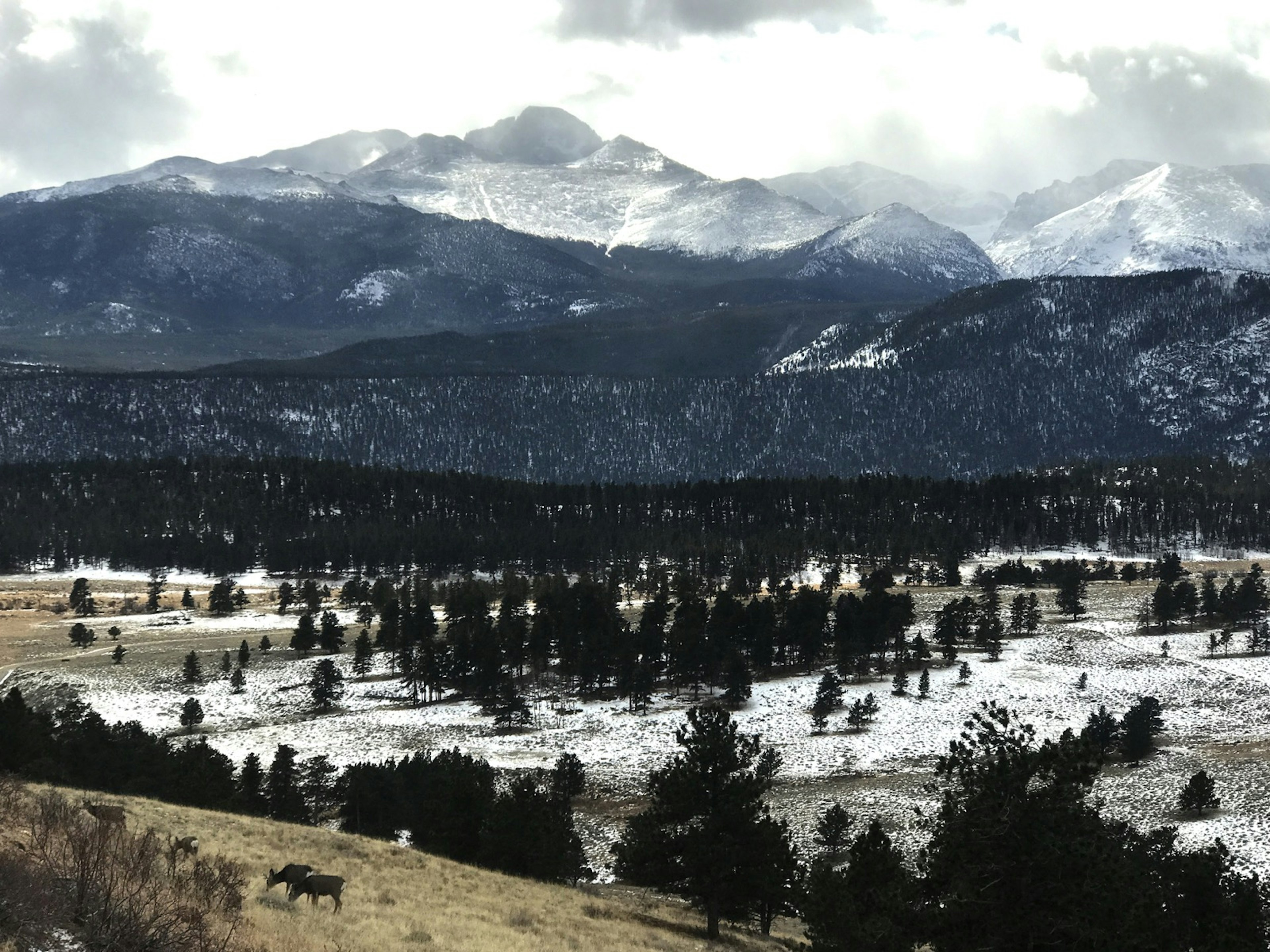 Two deer graze in the foreground as snowy peaks surround a brown valley in Estes Park Colorado