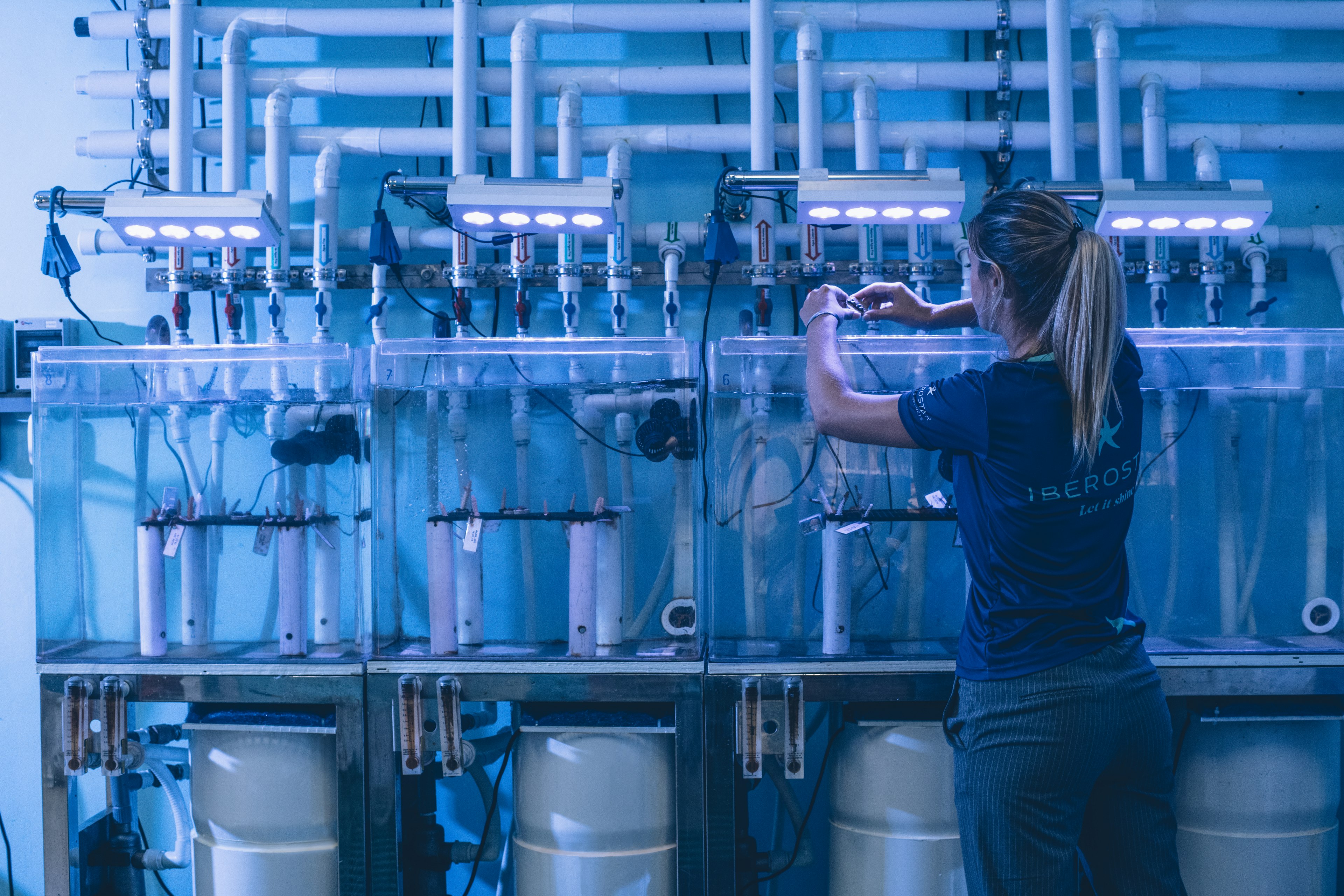 A technician tends to coral in tanks