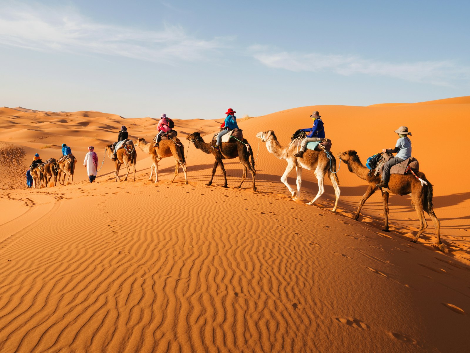 A caravan of camels travelling across the dune of the Sahara Desert, Morocco