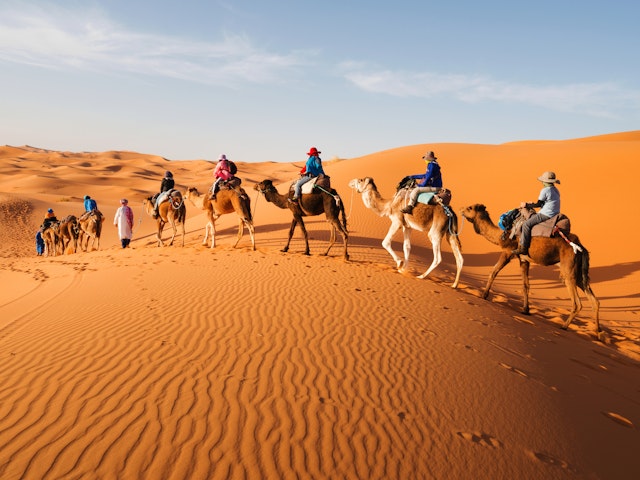 A caravan of camels travelling across the dune of the Sahara Desert, Morocco