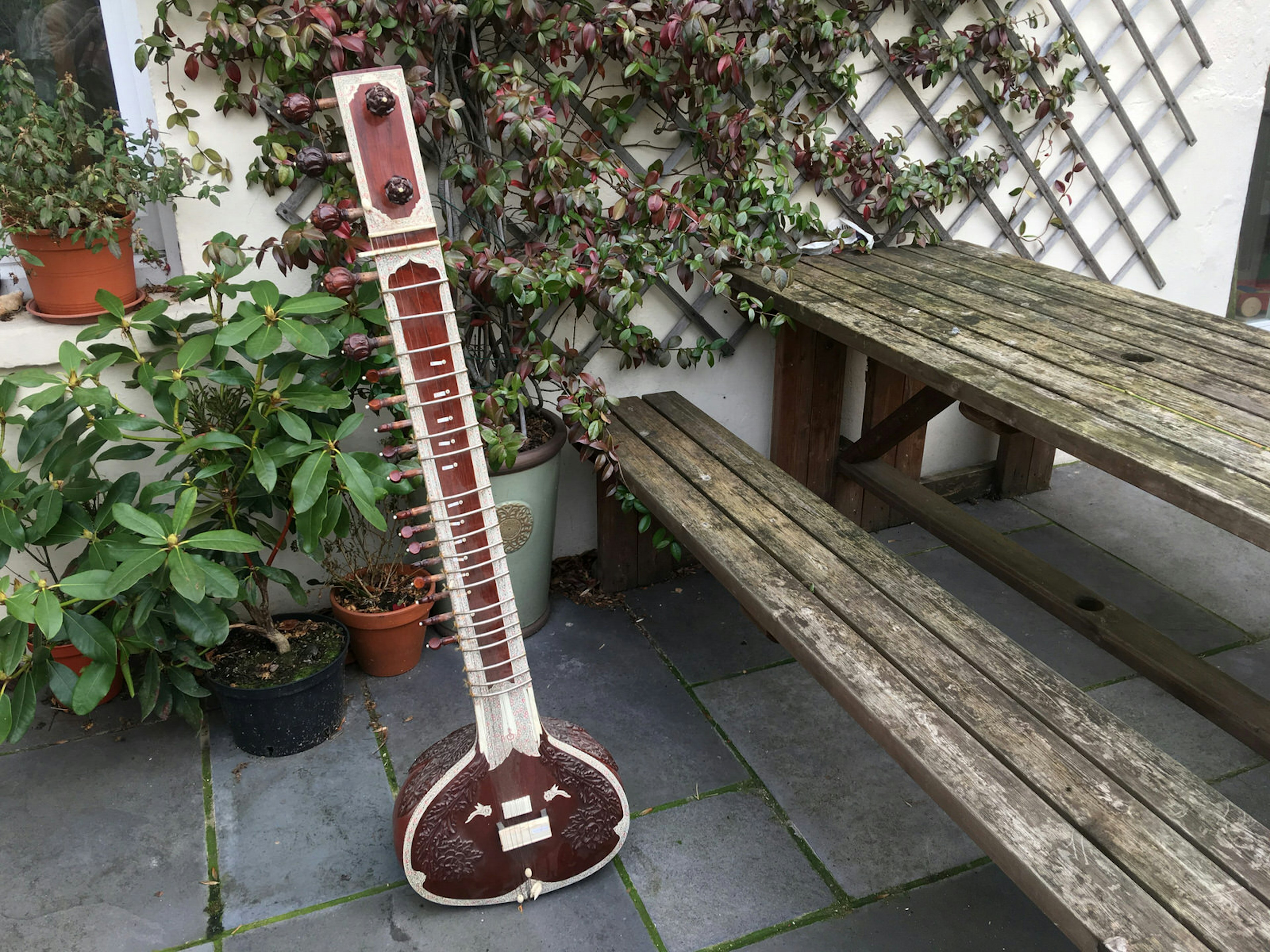 A brown sitar