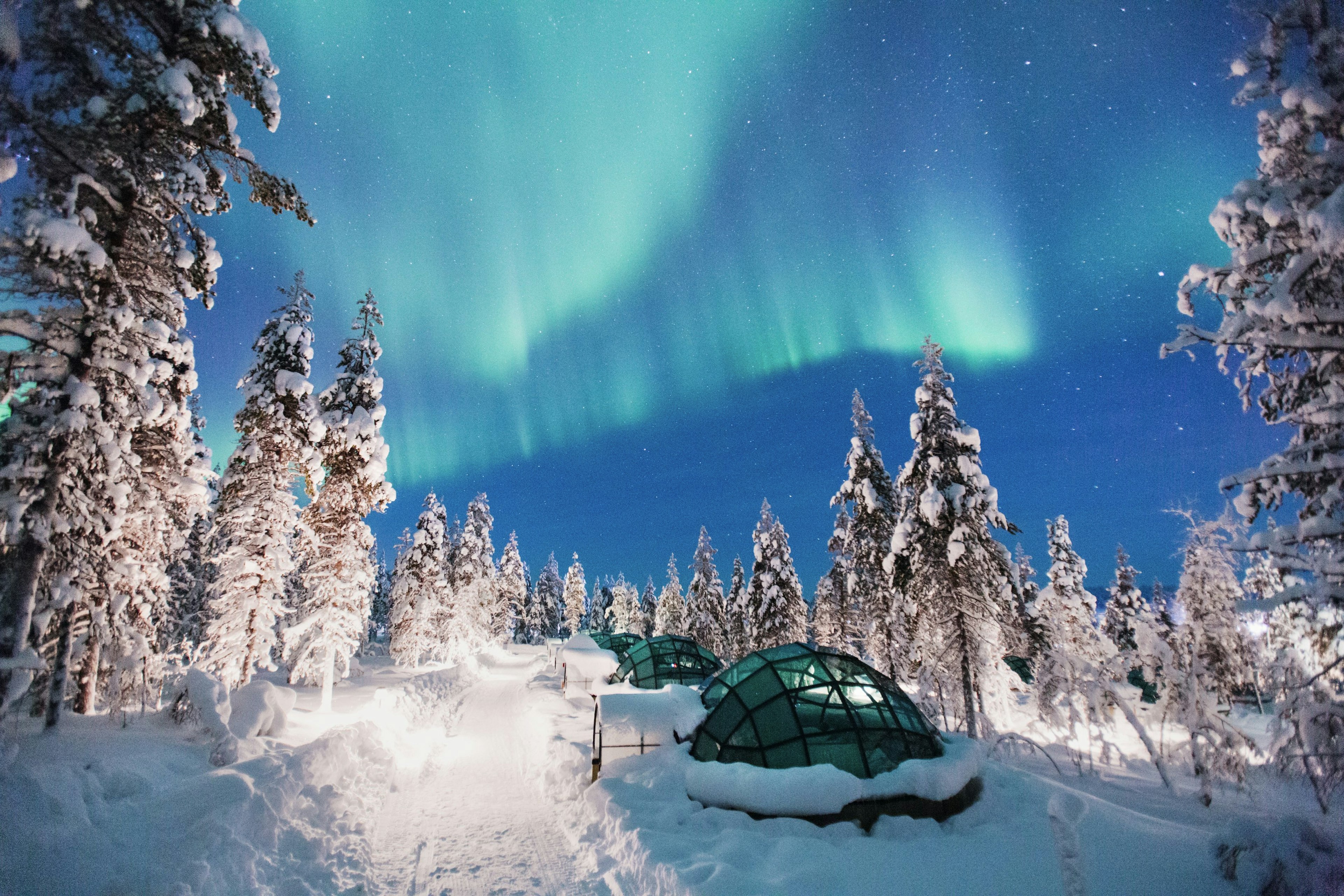 A row of igloos made of glass are lined up in deep snow amid tall pine trees with the Northern Lights overhead.