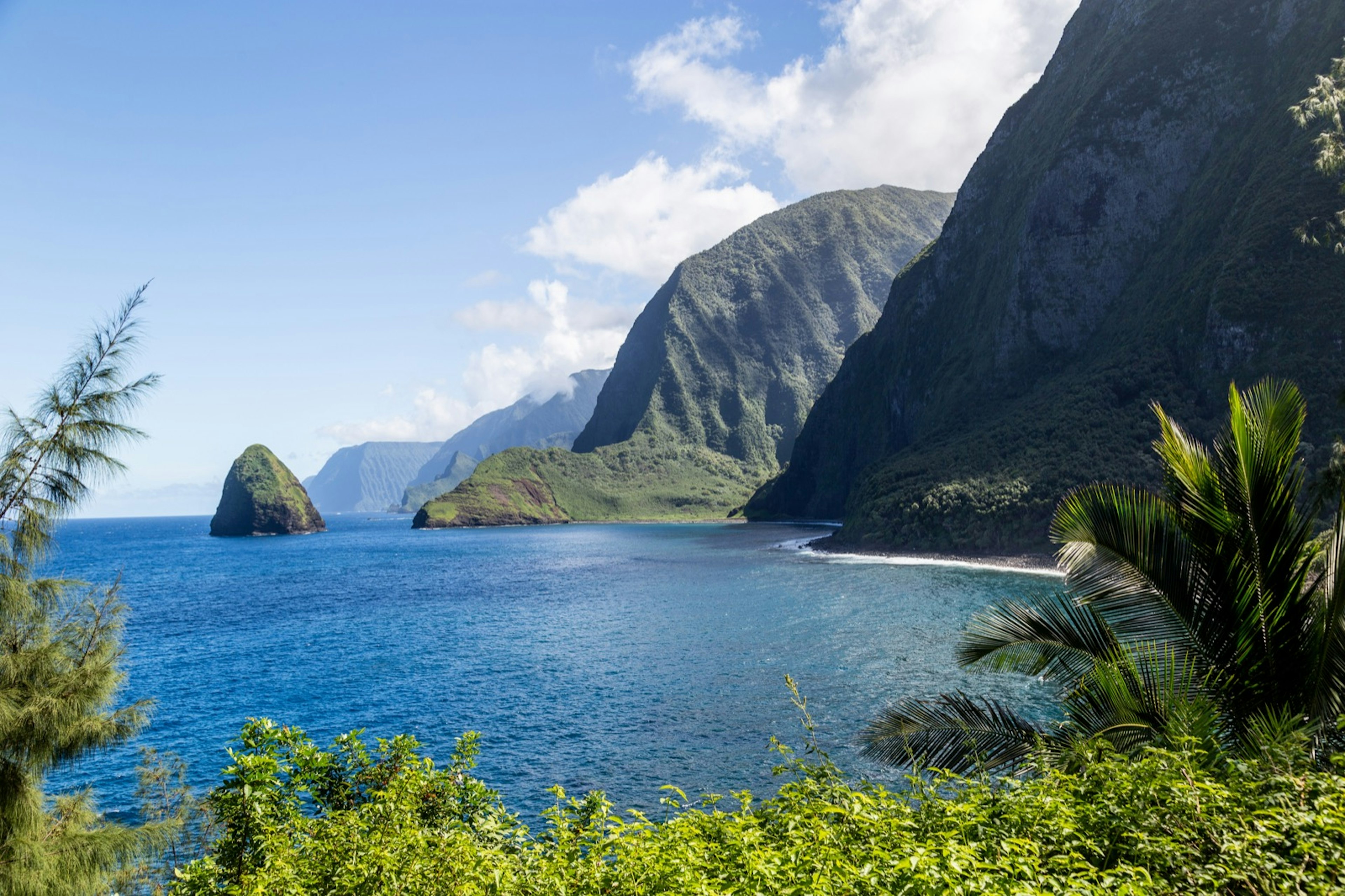 Tall, steep cliffs appear to end directly in the bright blue waters along the island of Moloka'i as lush tropical plants frame the foreground