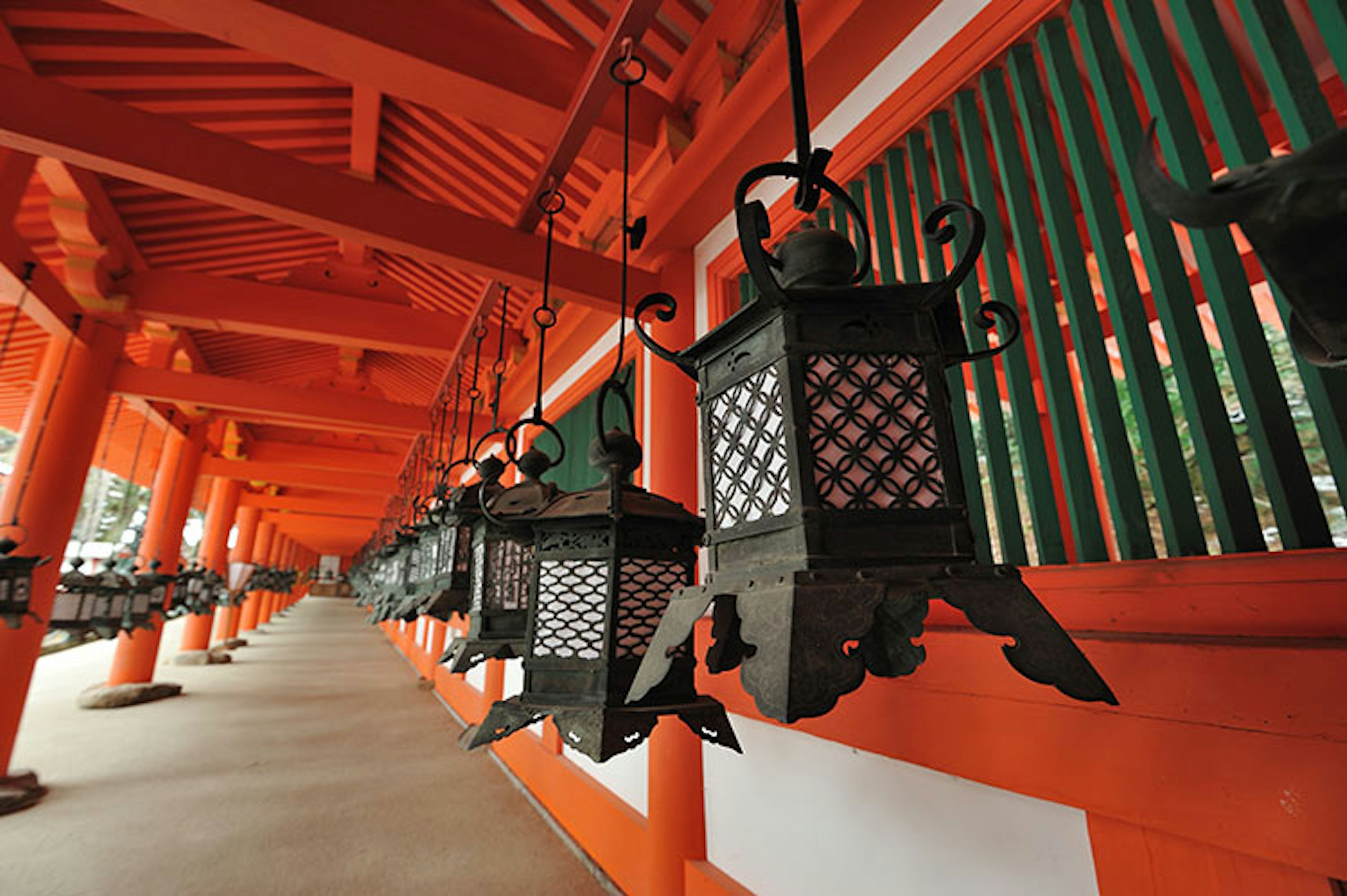 Lanterns swaying in the dazzling Kasuga Taisha shrine. Image by Haruhisa Yamaguchi / Moment / Getty Images