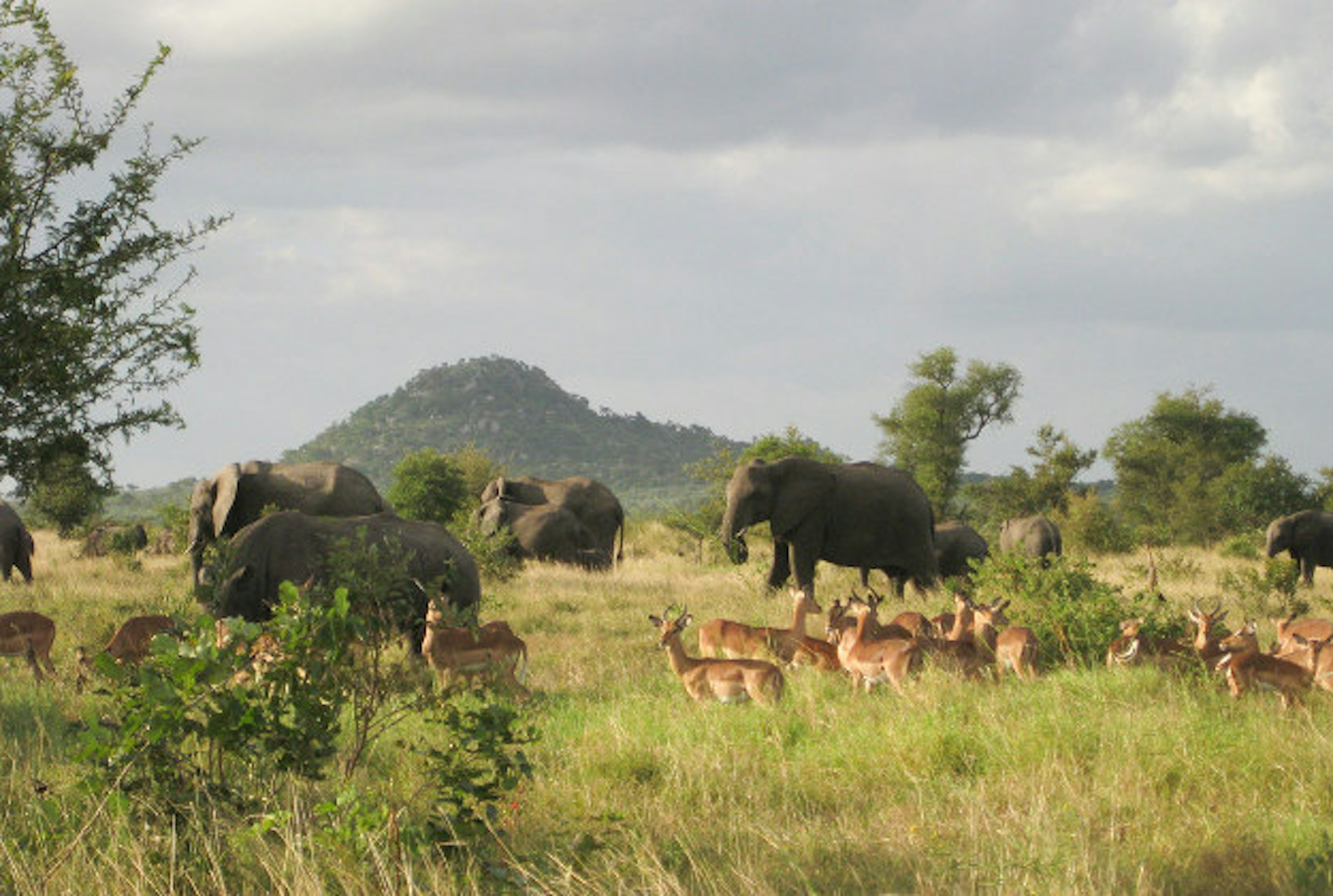 The Kruger National Park.