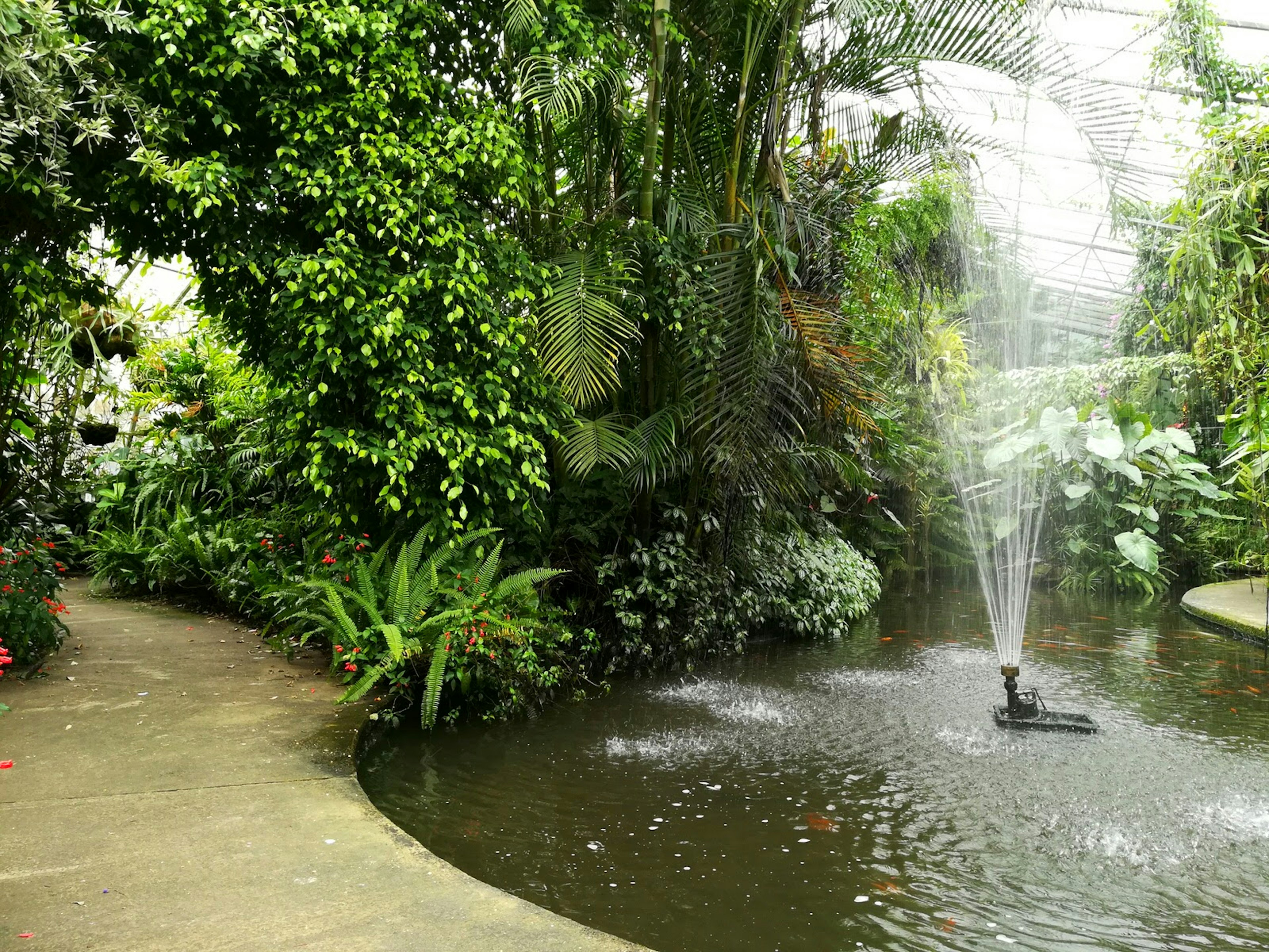 Locals and visitors can all enjoy Roath Park