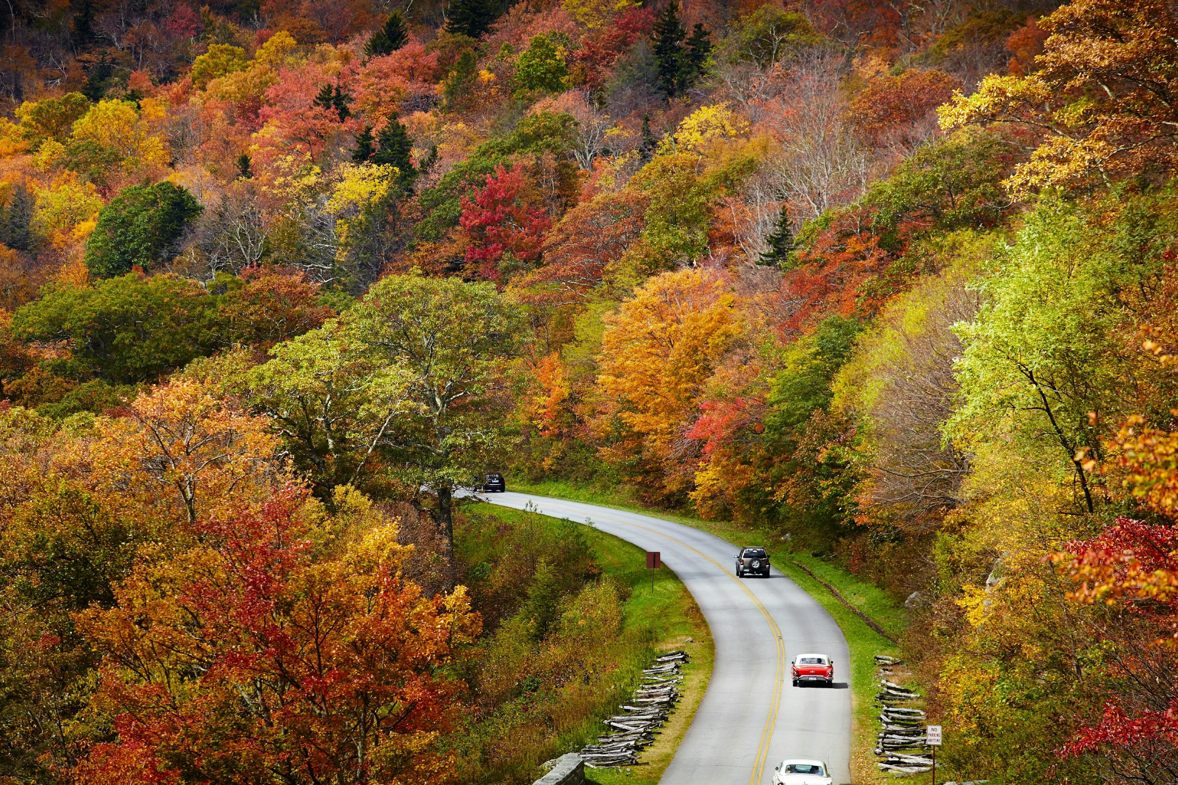 Cars round the bend amid beautiful fall foliage in North Carolina