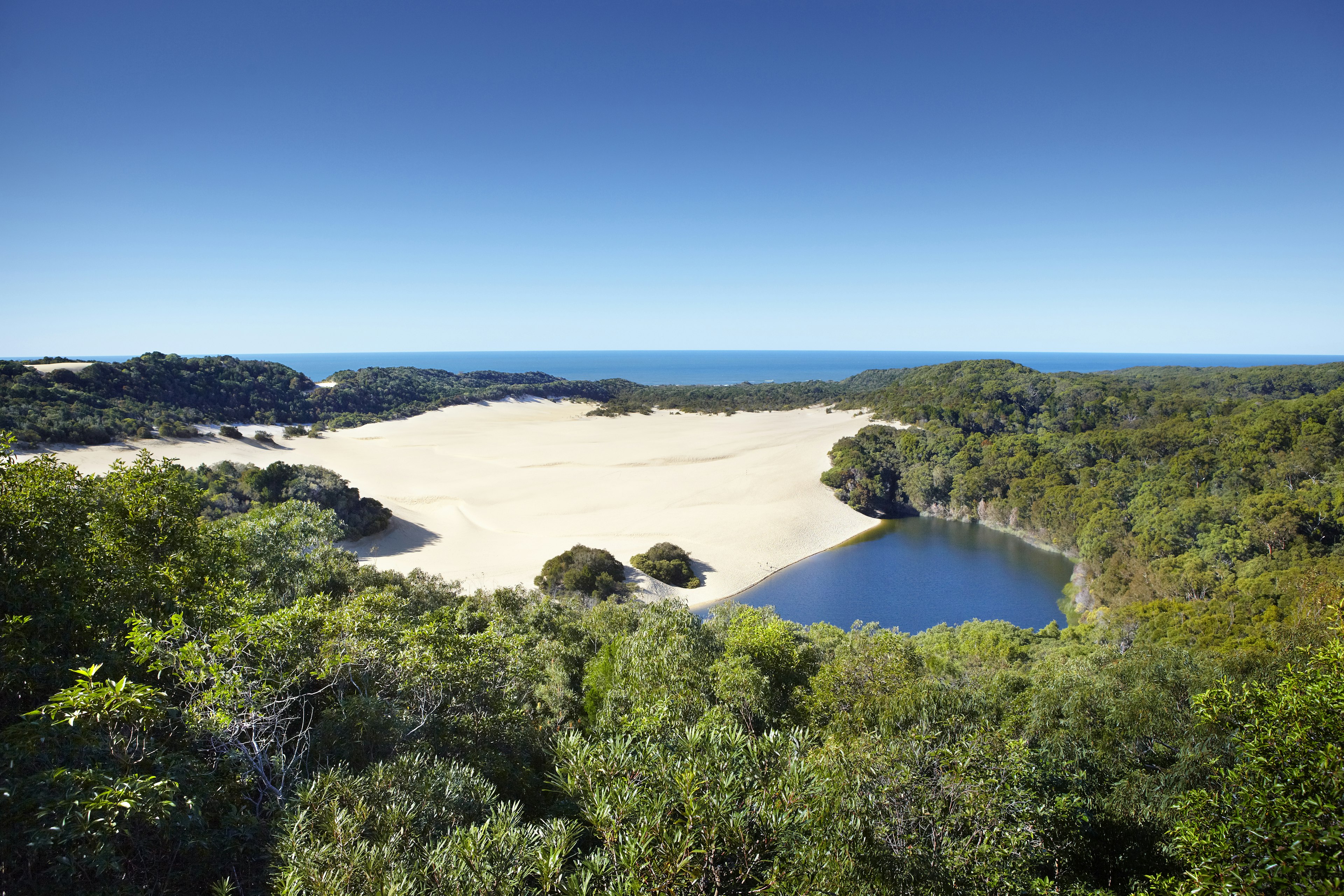 Waterhole on Fraser Island amongst island shrub land on a clear sunny day