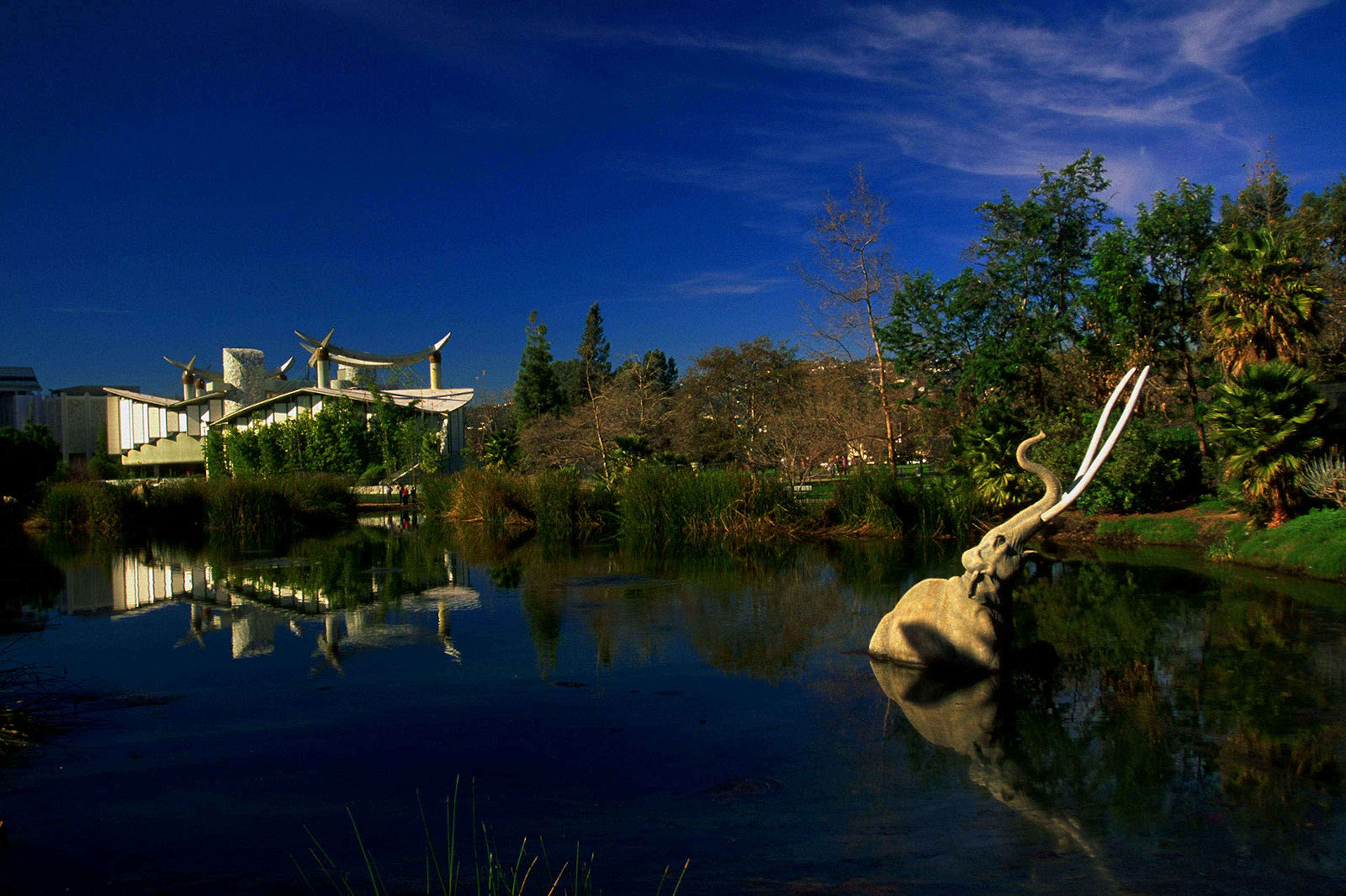 A mammoth statue in the La Brea Tar Pits with the museum in the background © Nik Wheeler / Getty Images