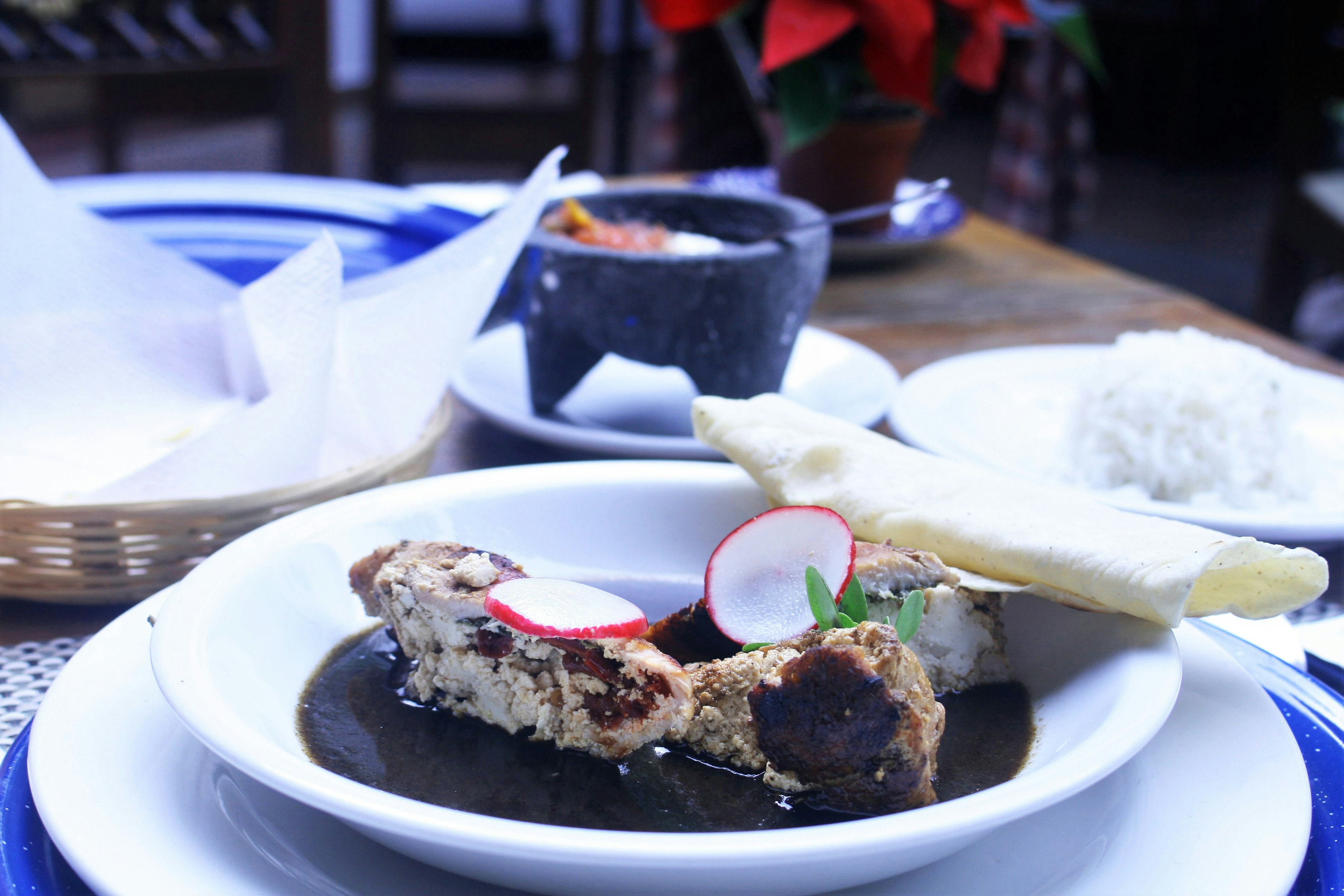 A stuffed breast in mole sauce garnished with a bright red radish