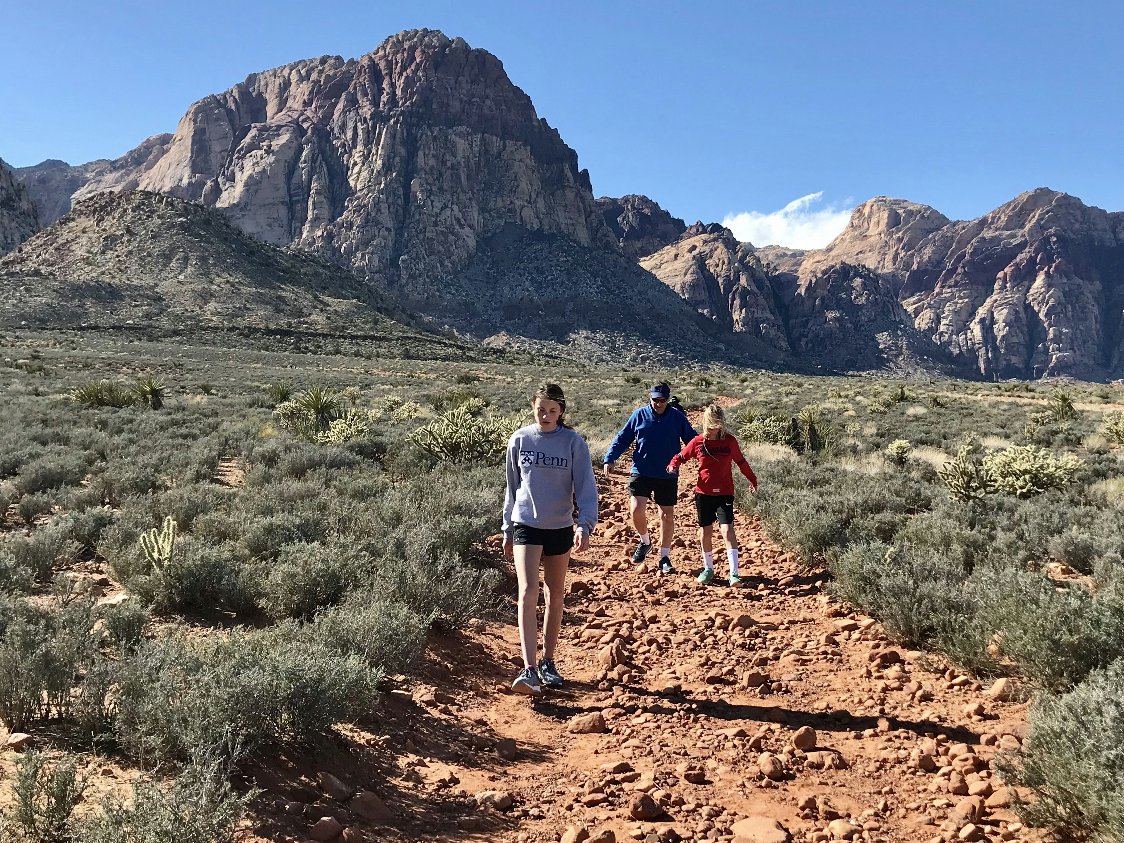 Las Vegas-Red Rock Canyon-Photo Credit Erin Gifford.jpg