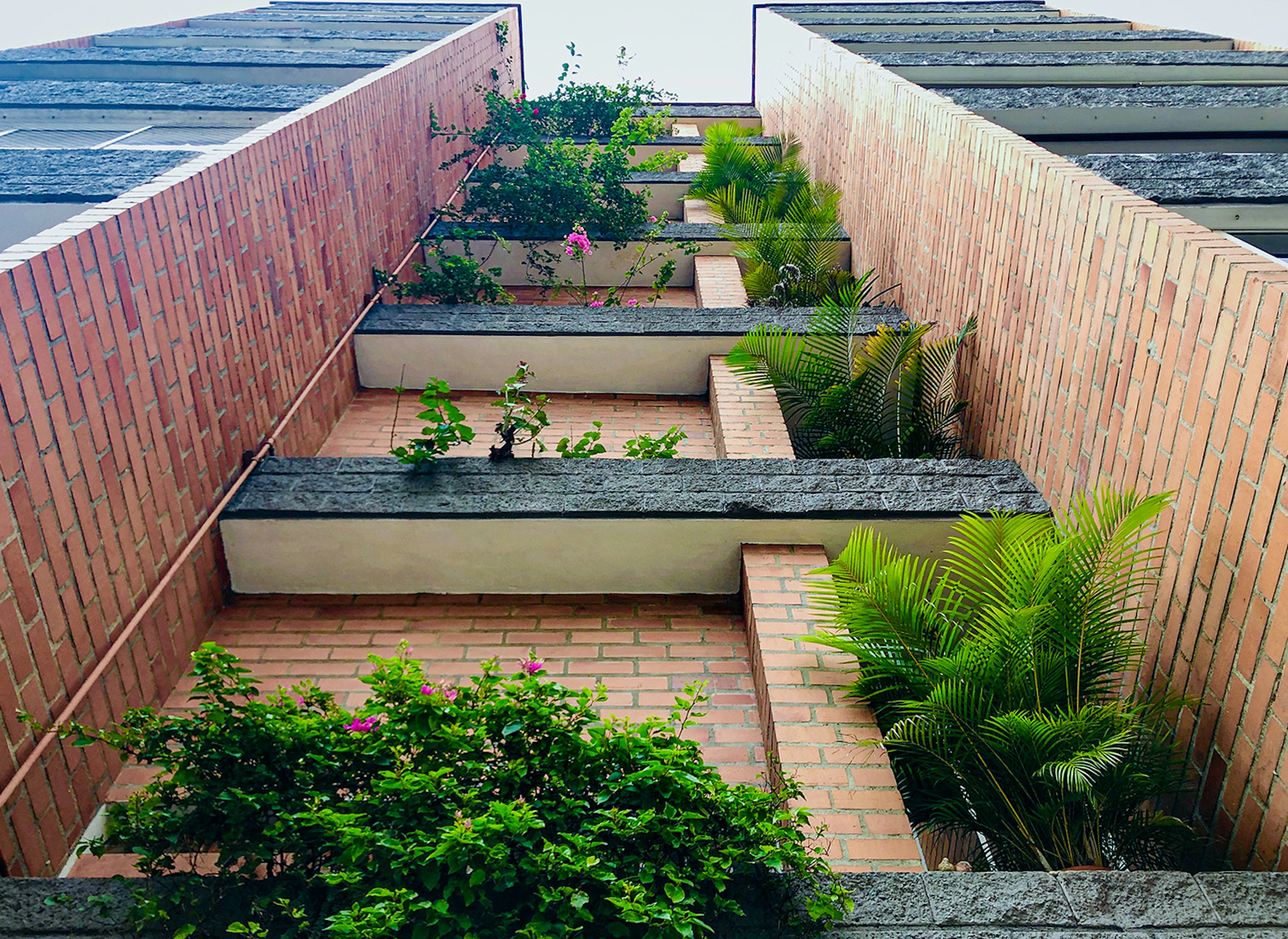 A view of a building upwards from street level; each floor has plants cascading off the balcony. Medellín, Colombia.