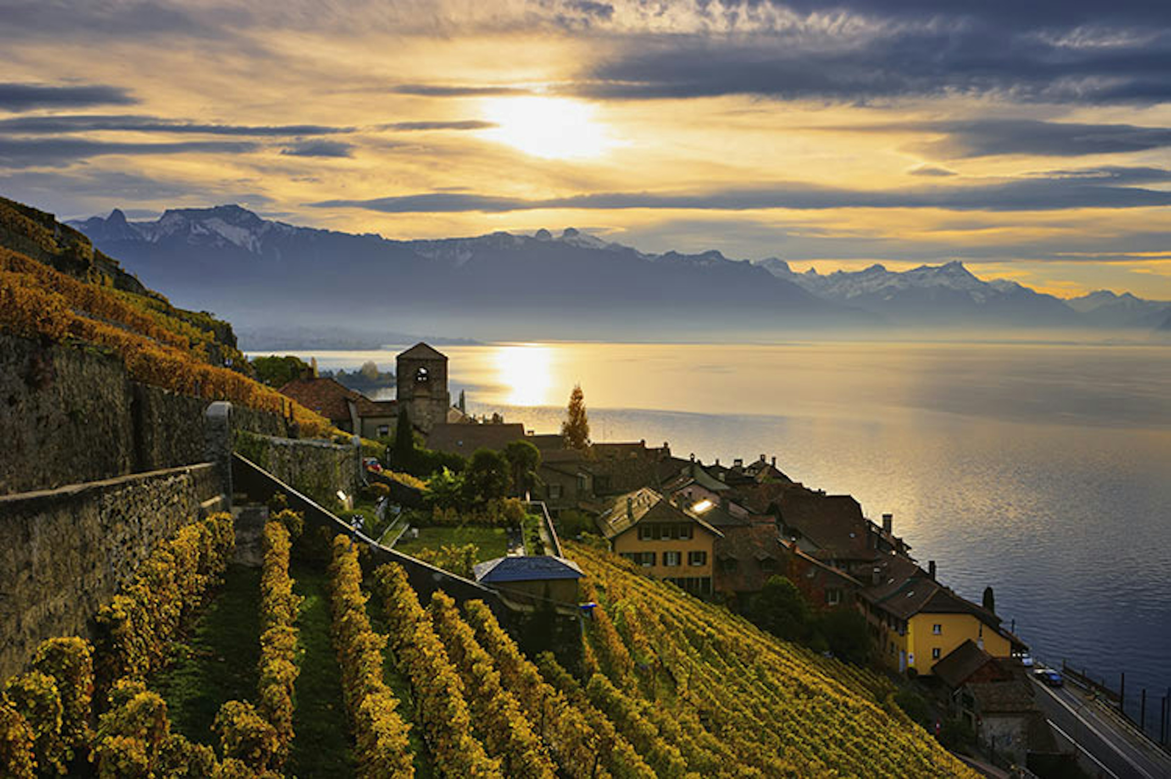 The sunkissed vineyards of Switzerland's Lavaux region, in the day's last light. Yves Marcoux / Design Pics / Perspectives / Getty Images