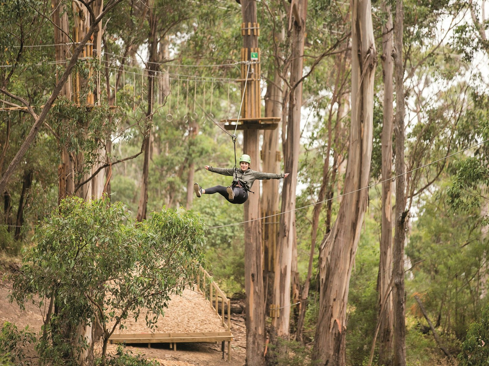 A zipline at Live Wire © Image courtesy of Live Wire Park