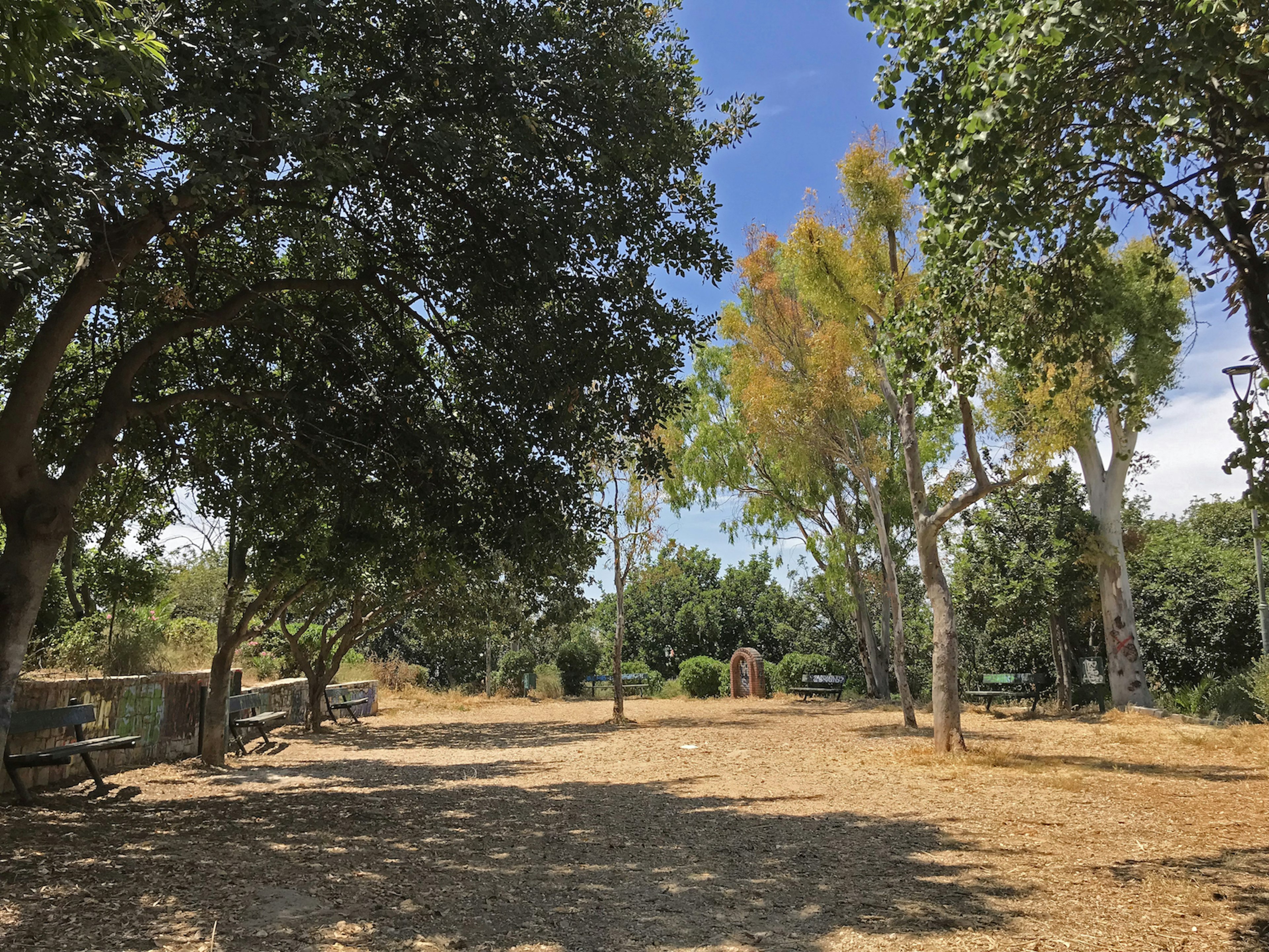 A deserted Logginou Park- an empty space lined with trees on two sides