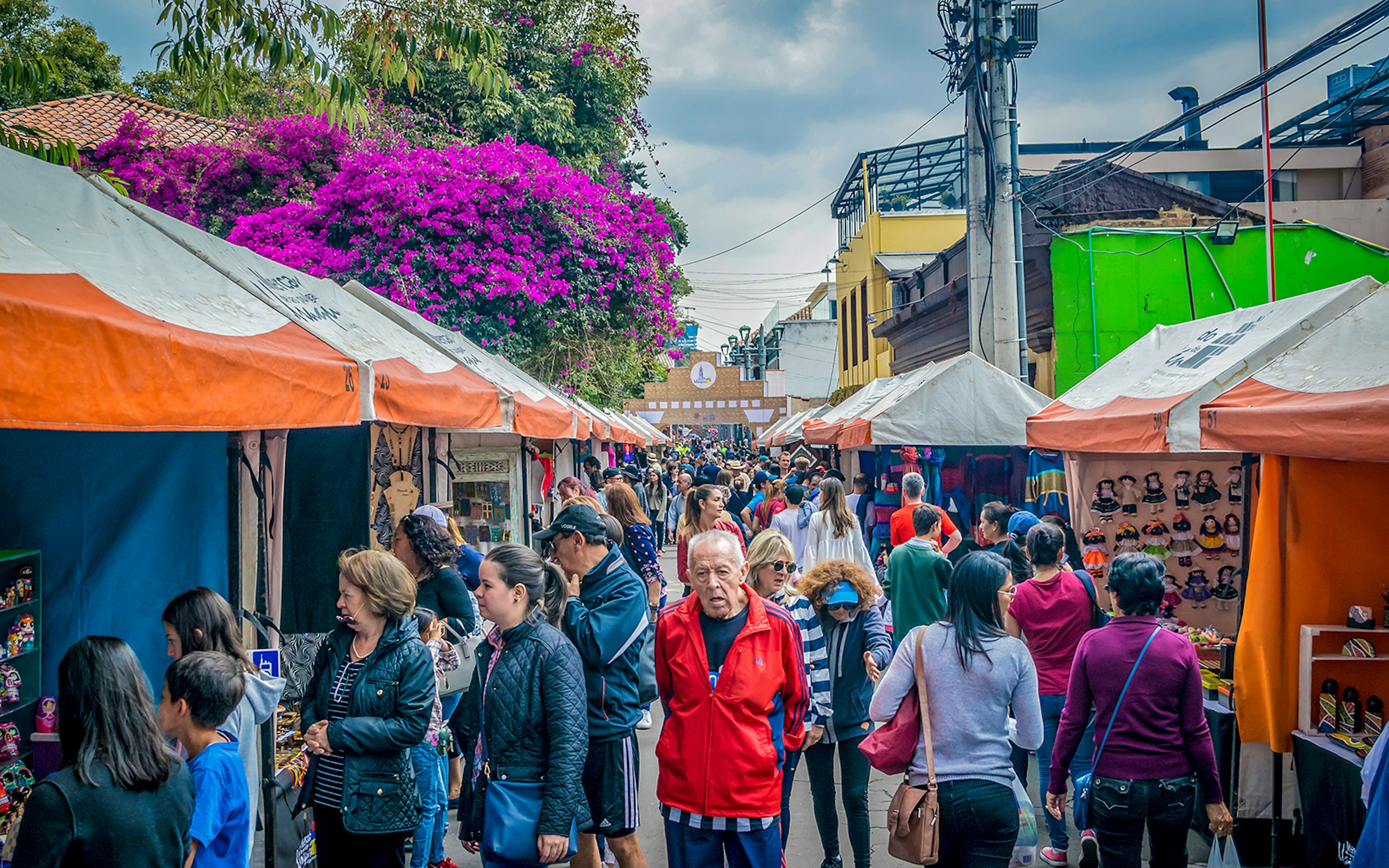 People walk between two rows of tents at a flee market, with a brightly colored flowering tree in the background © Dalomo84 / Getty Images