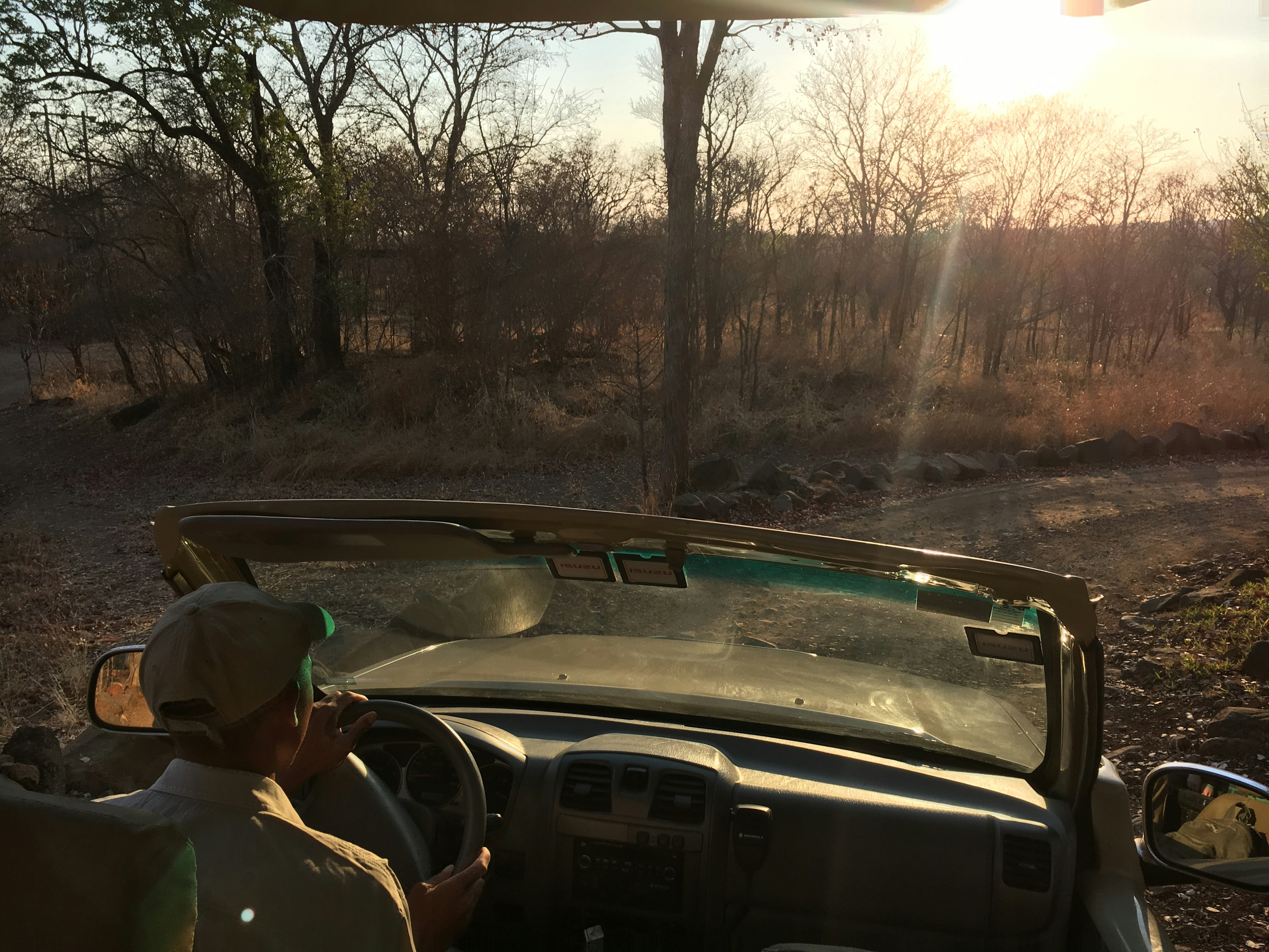 A view from the back of an open-topped 4WD safari vehicle