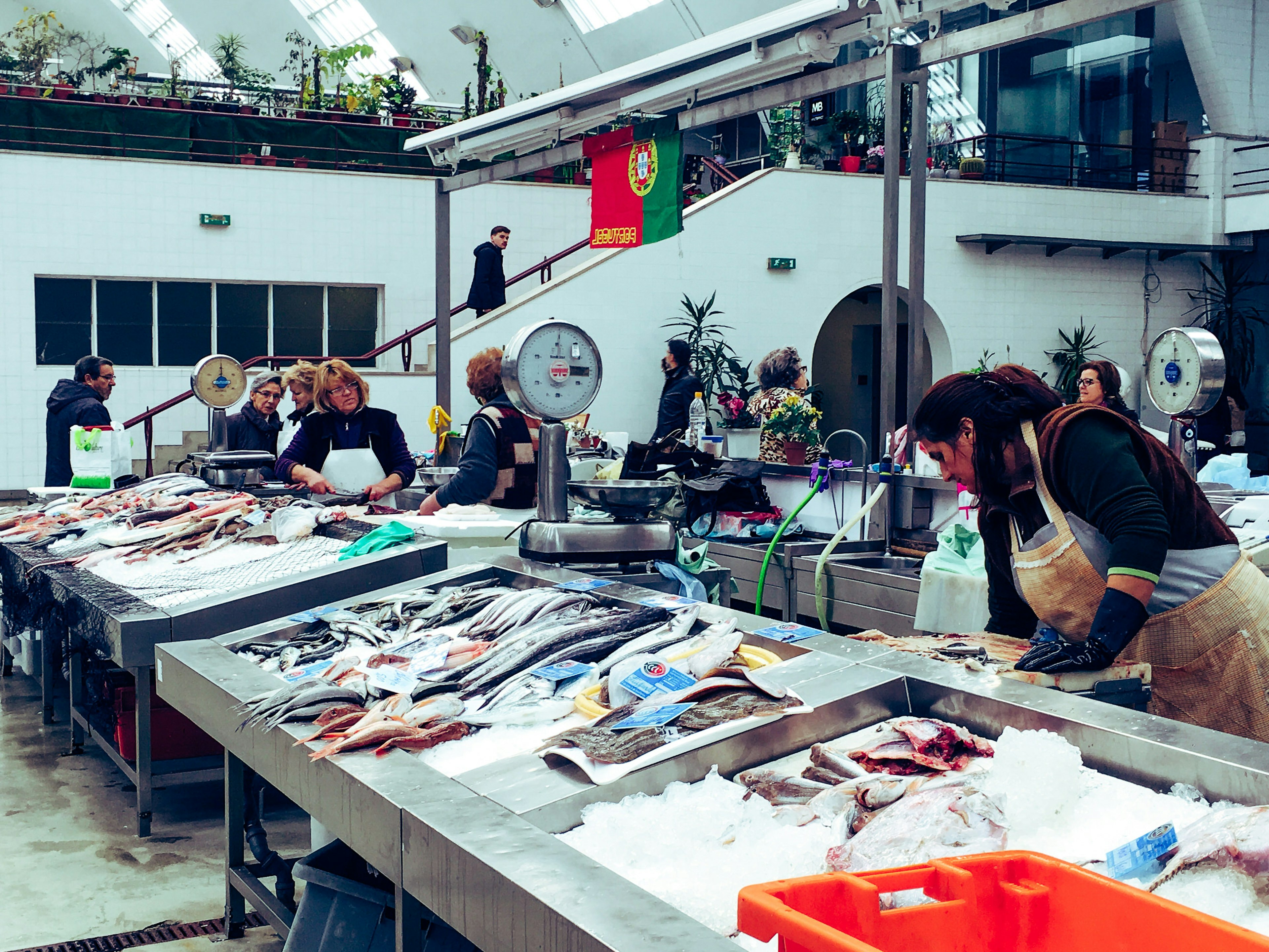 Several stainless steel counters are filled with ice and topped with a variety of fresh fish, and stall-holders attend to customers.