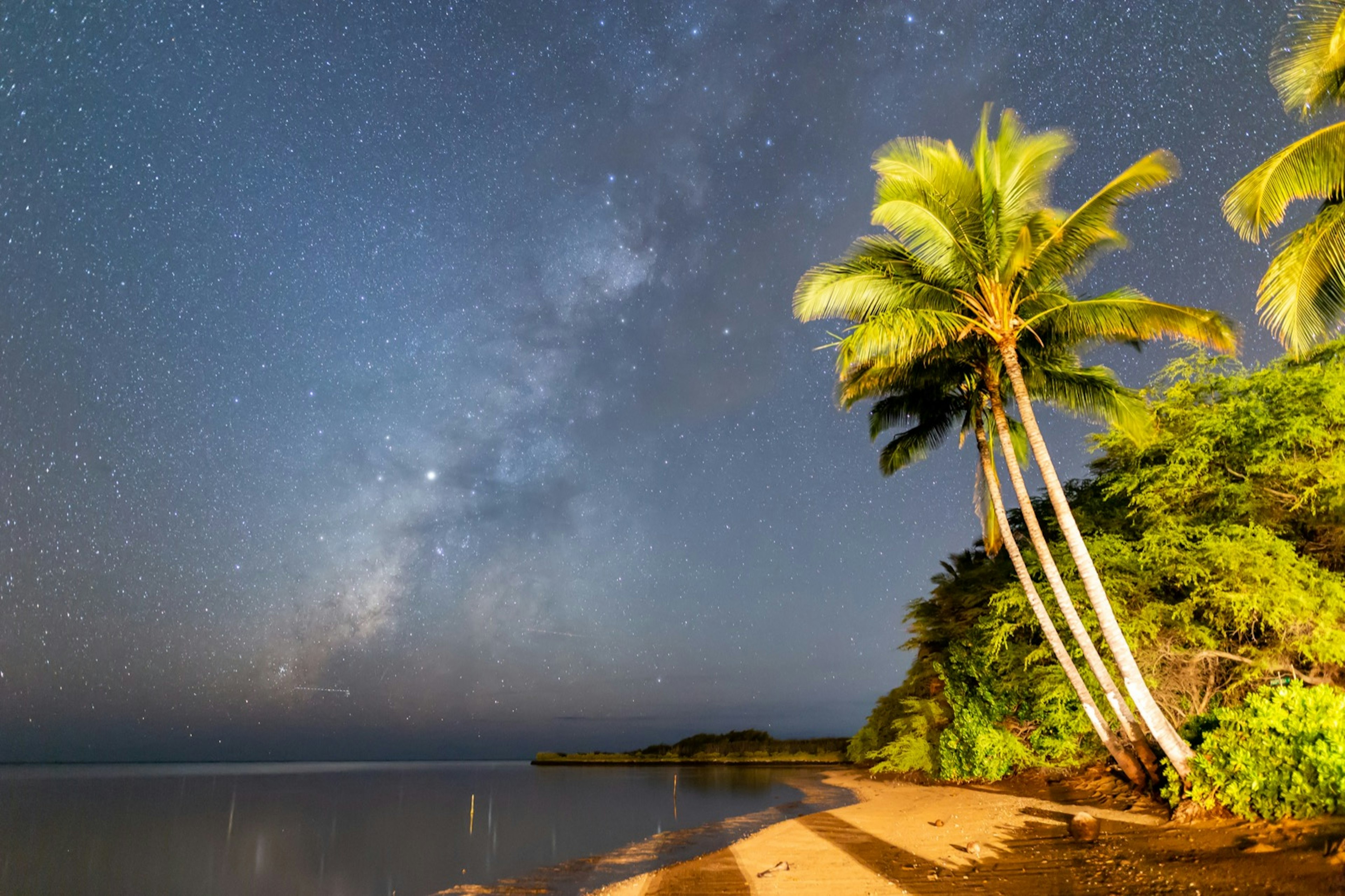 In a time-lapse shot, a beach with palm trees is seen at twilight, while a distinctive pattern of stars in the sky reveals the Milky Way galaxy.