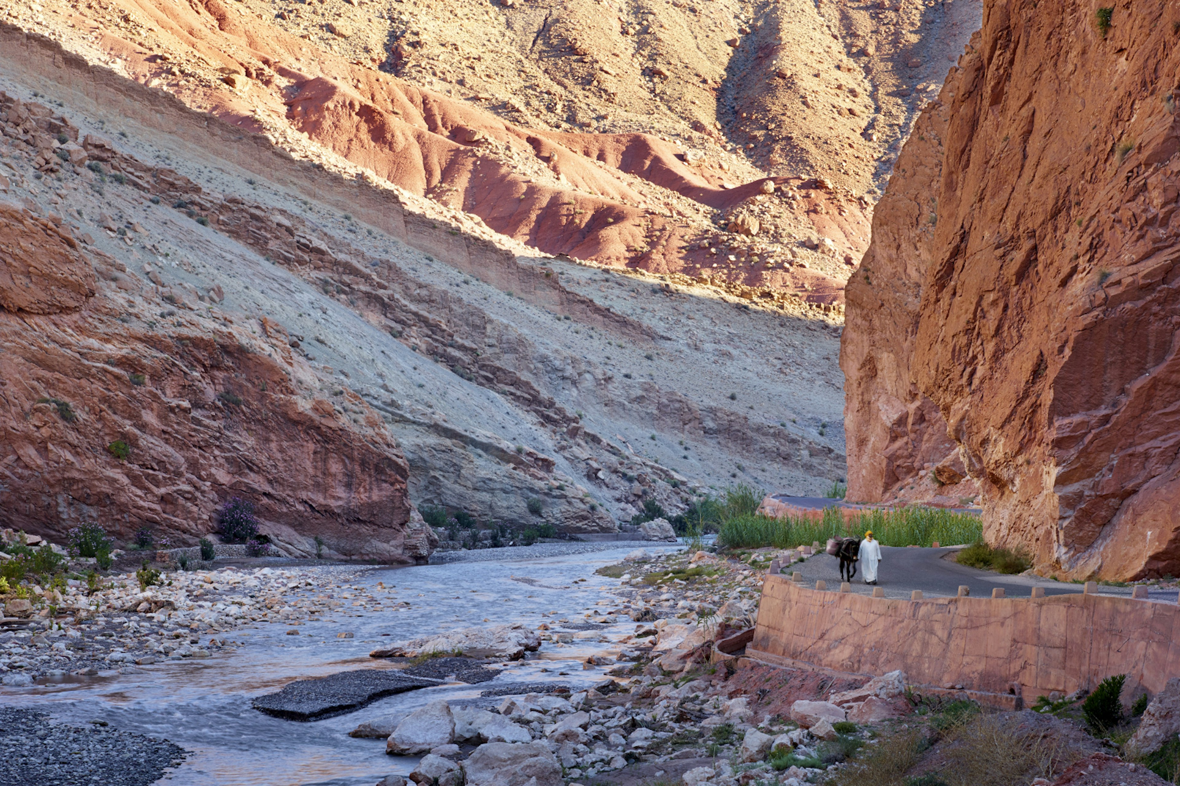 Farmer Hamid Azabi and his mule walk beside the M'Goun River in the early morning in Morocco