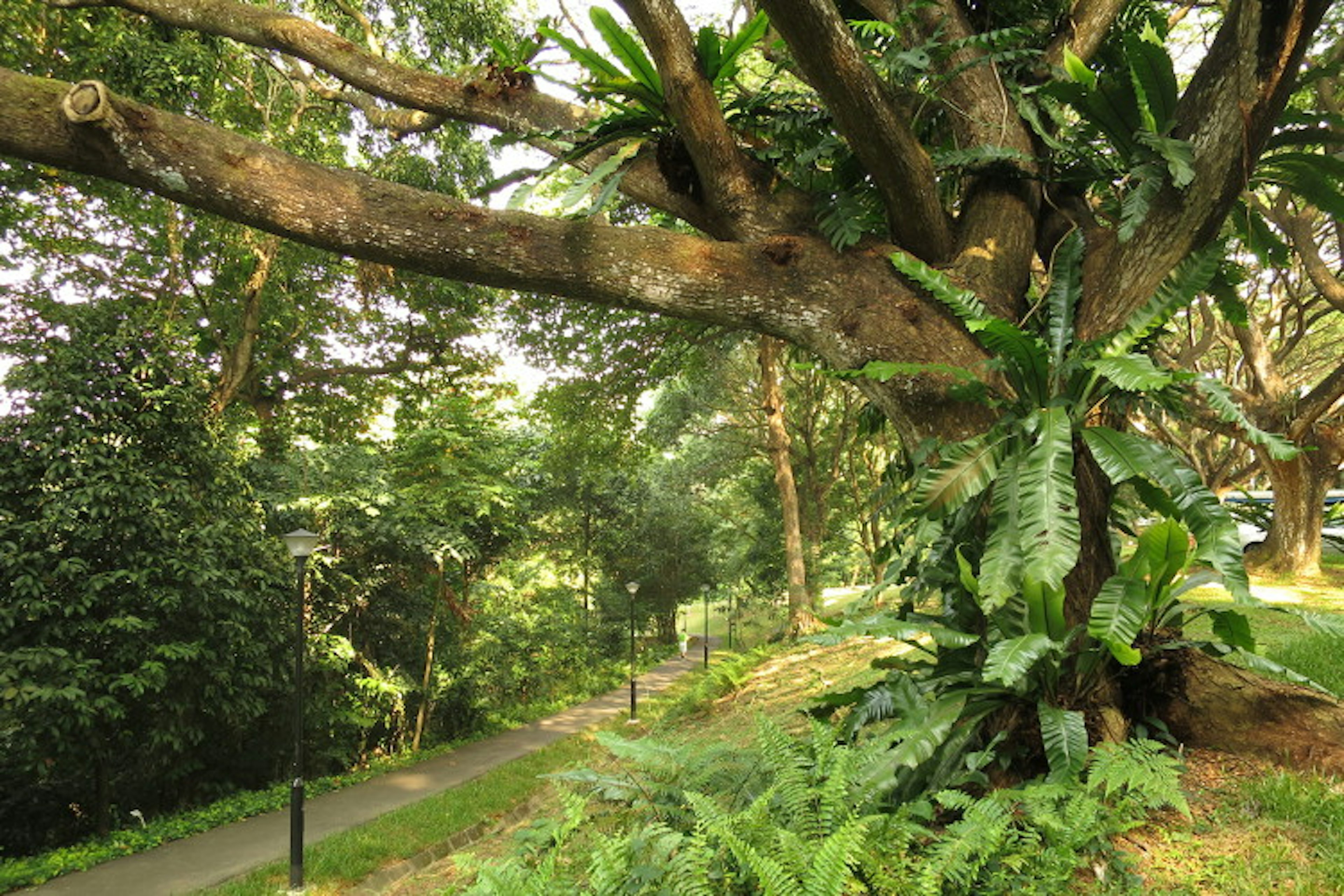 Mt Faber, Singapore. Image by Sarah Reid Lonely Planet