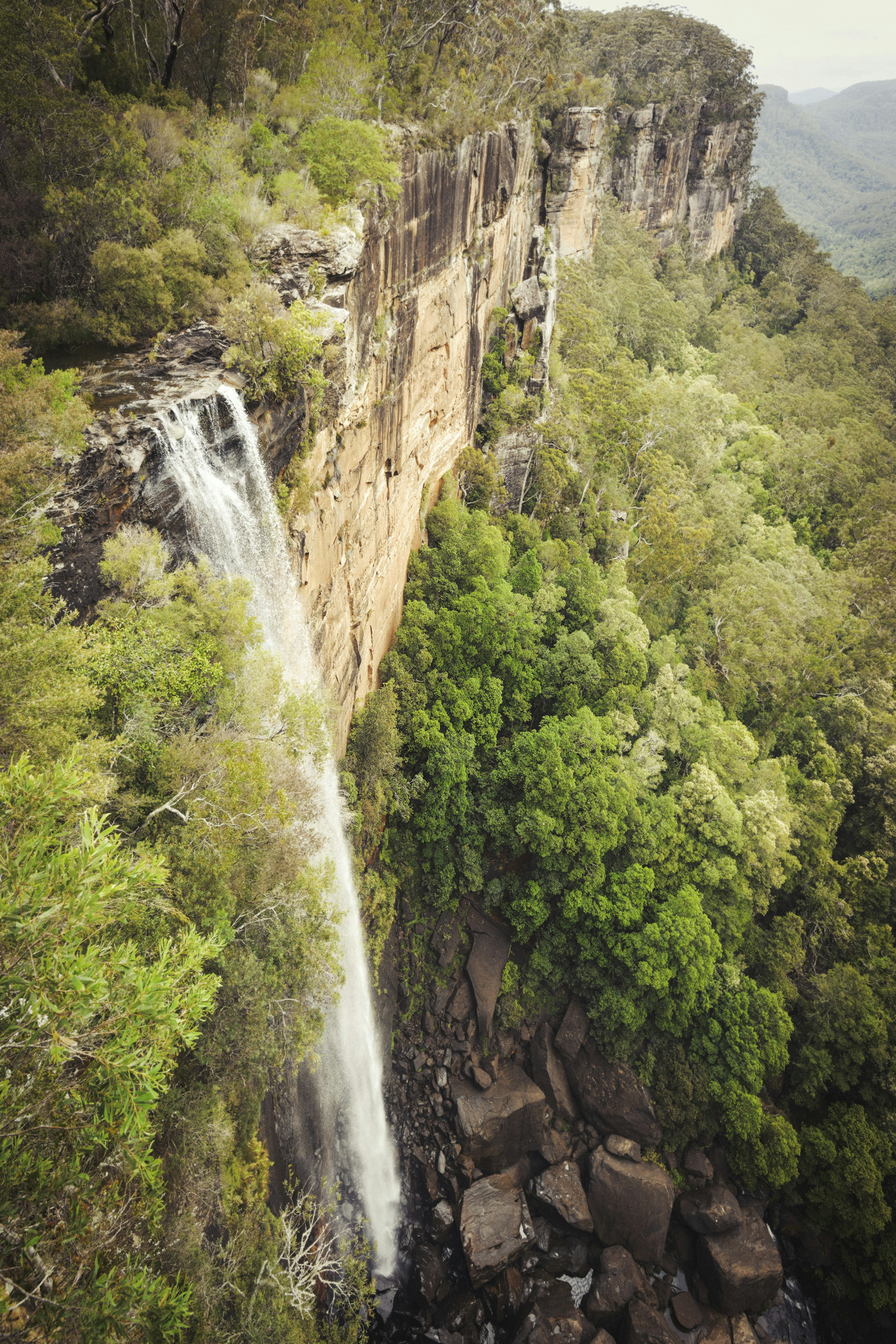 Fitzroy Falls plunging 80 metres to the valley floor