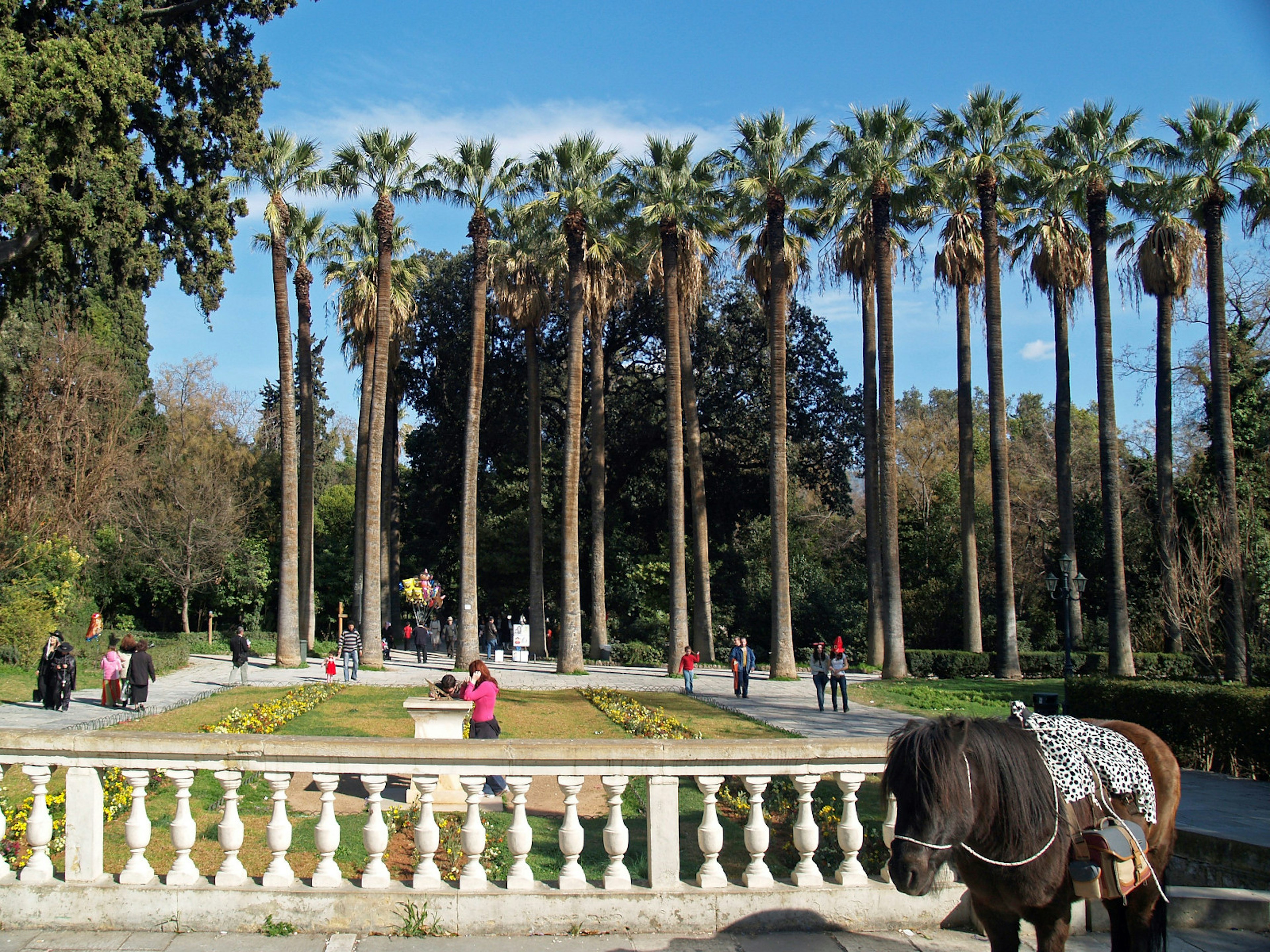 People strolling in Athens' National Gardens