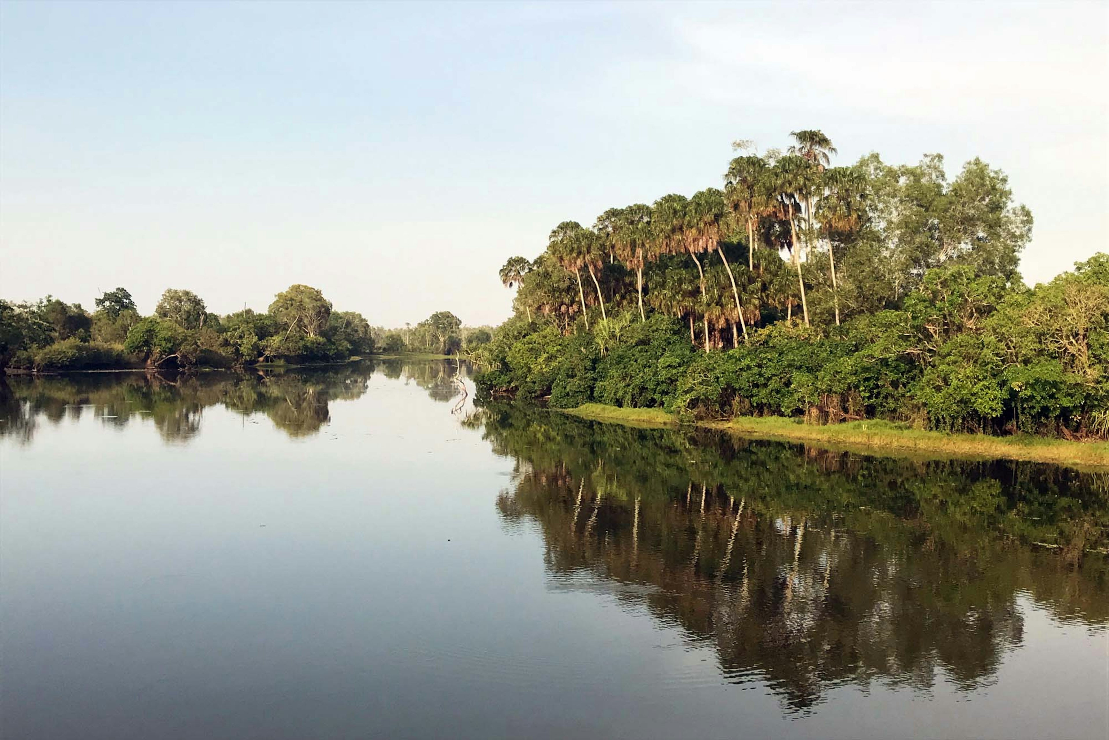 Still water and trees by Sarah Reid / Lonely Planet