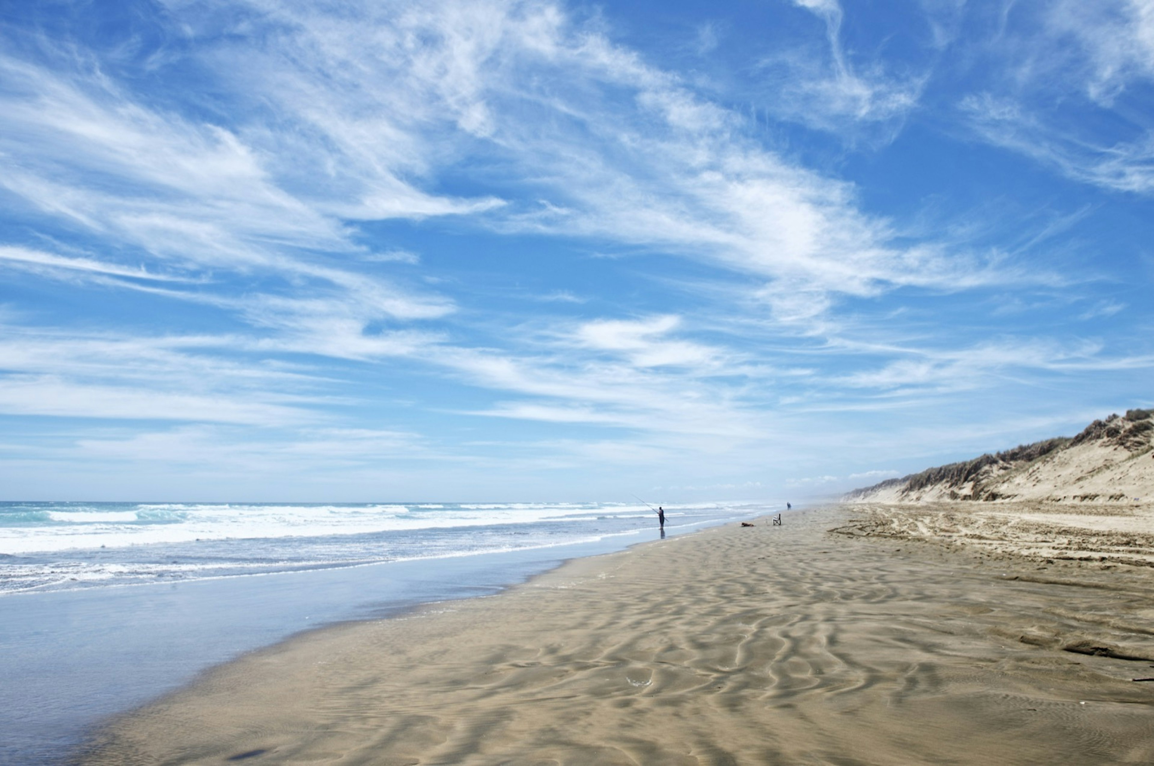 Below a deep blue sky streaked with whispy white clouds, a man fishes on Ninety mile beach, North Island, New Zealand; large waves roll into the flat beach, and the fisherman stands at the highwater point; behind him are large dunes with moss green vegetation