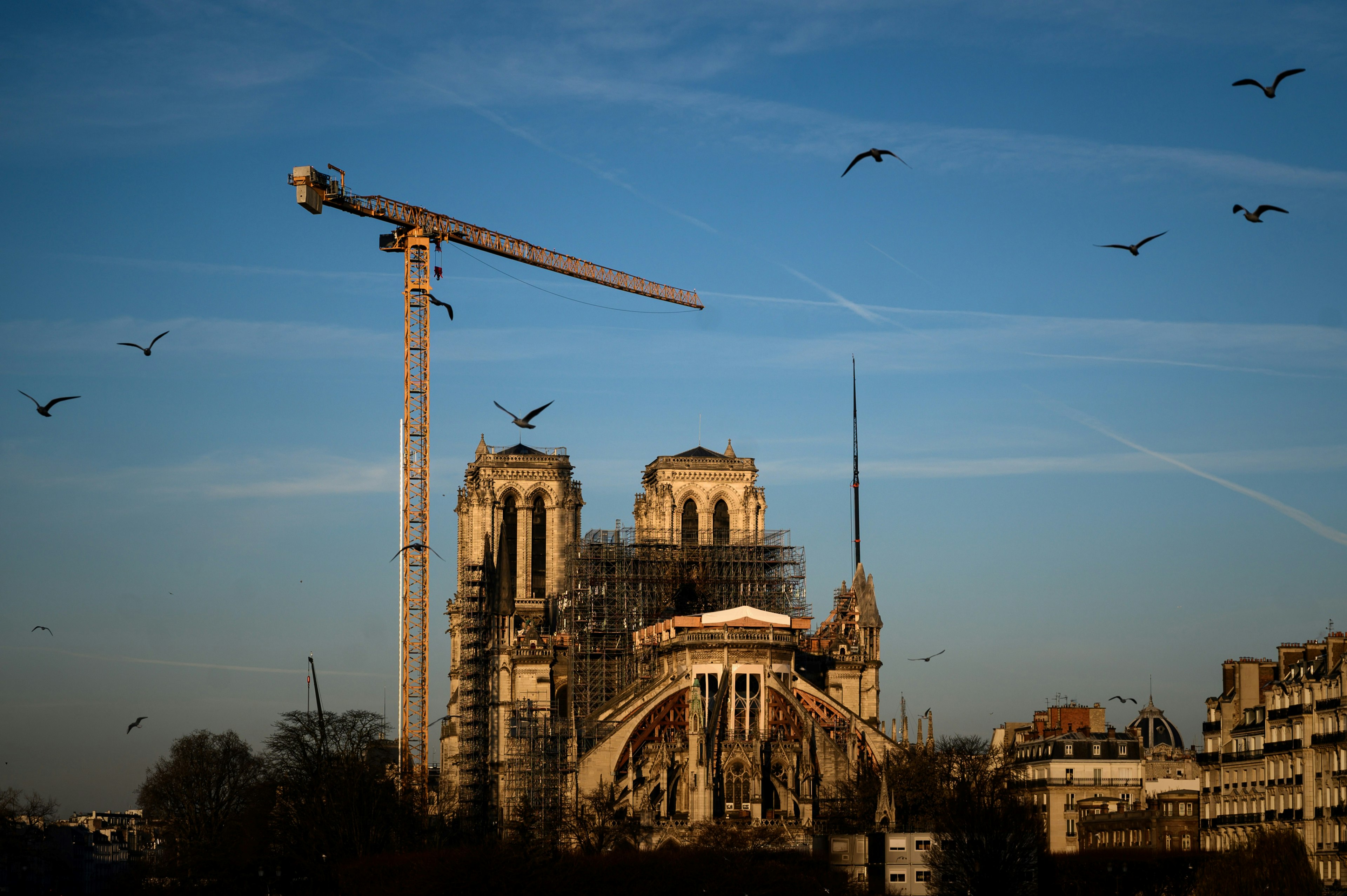 Notre-Dame Cathedral in Paris on January 6, 2020, covered in scaffolding with a crane in front and birds overhead