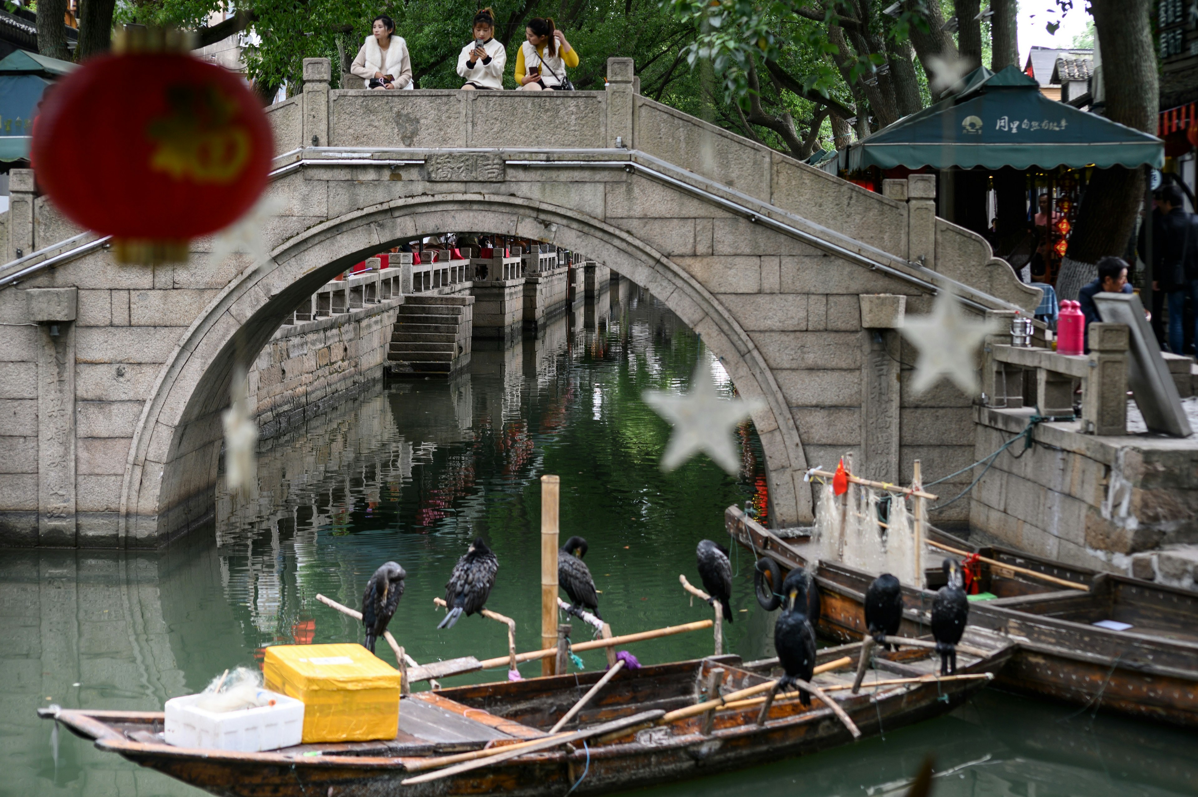 A small wooden boat bobs in the canal. It has six wooden perches jutting from it, and on each sits a black cormorant.